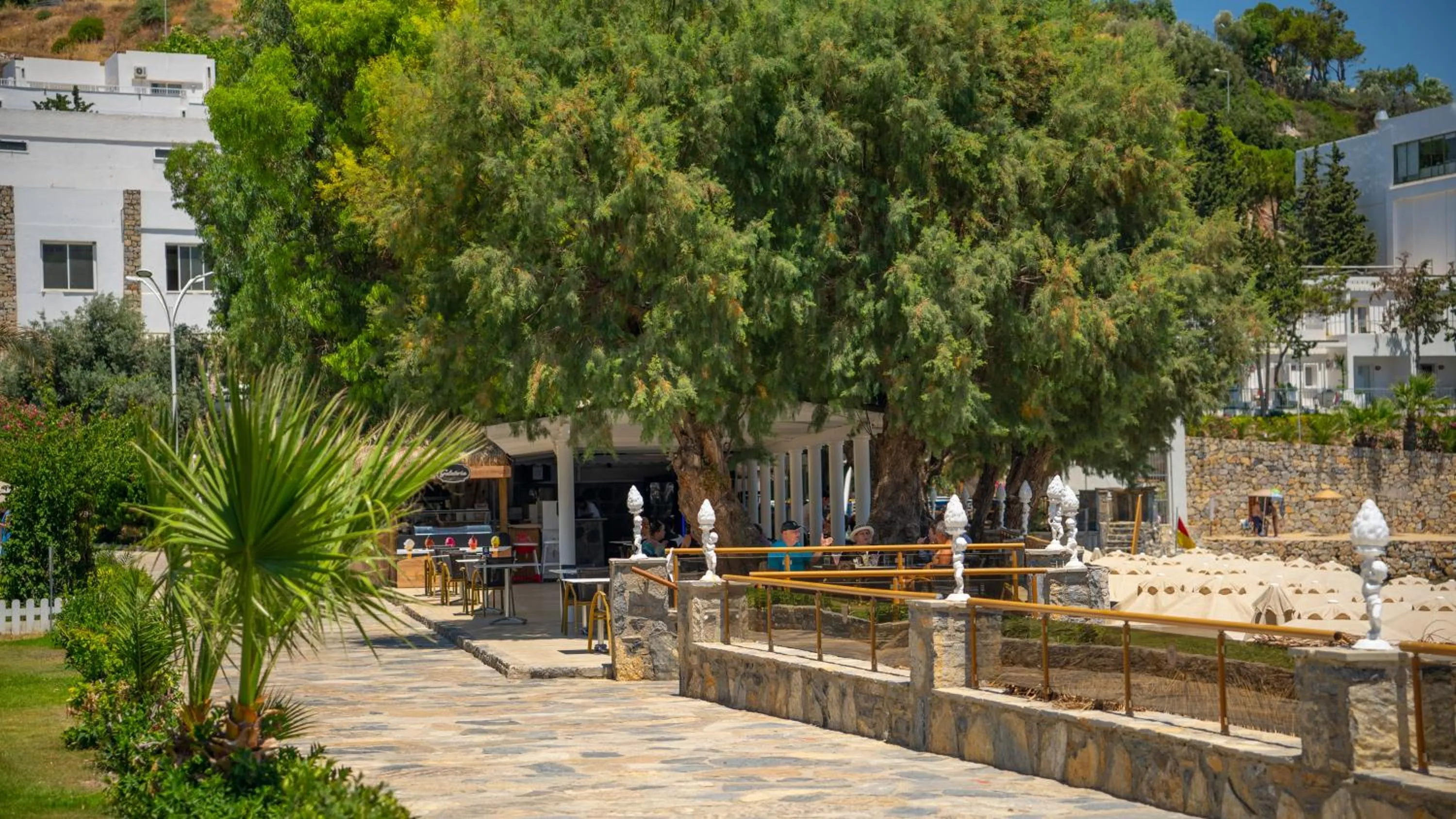 Garden view in Azka Hotel