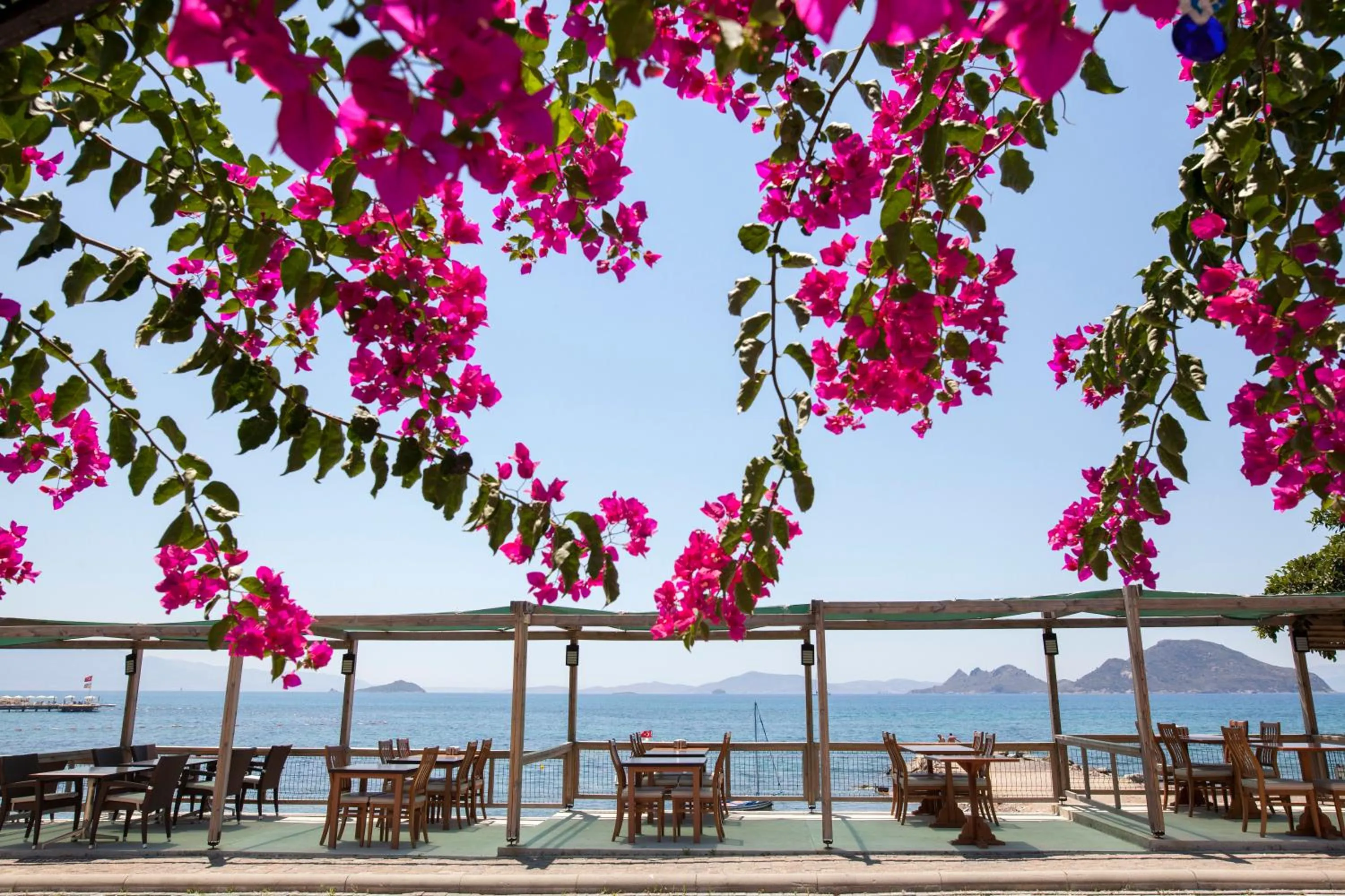 Restaurant/places to eat in One More Day Hotel