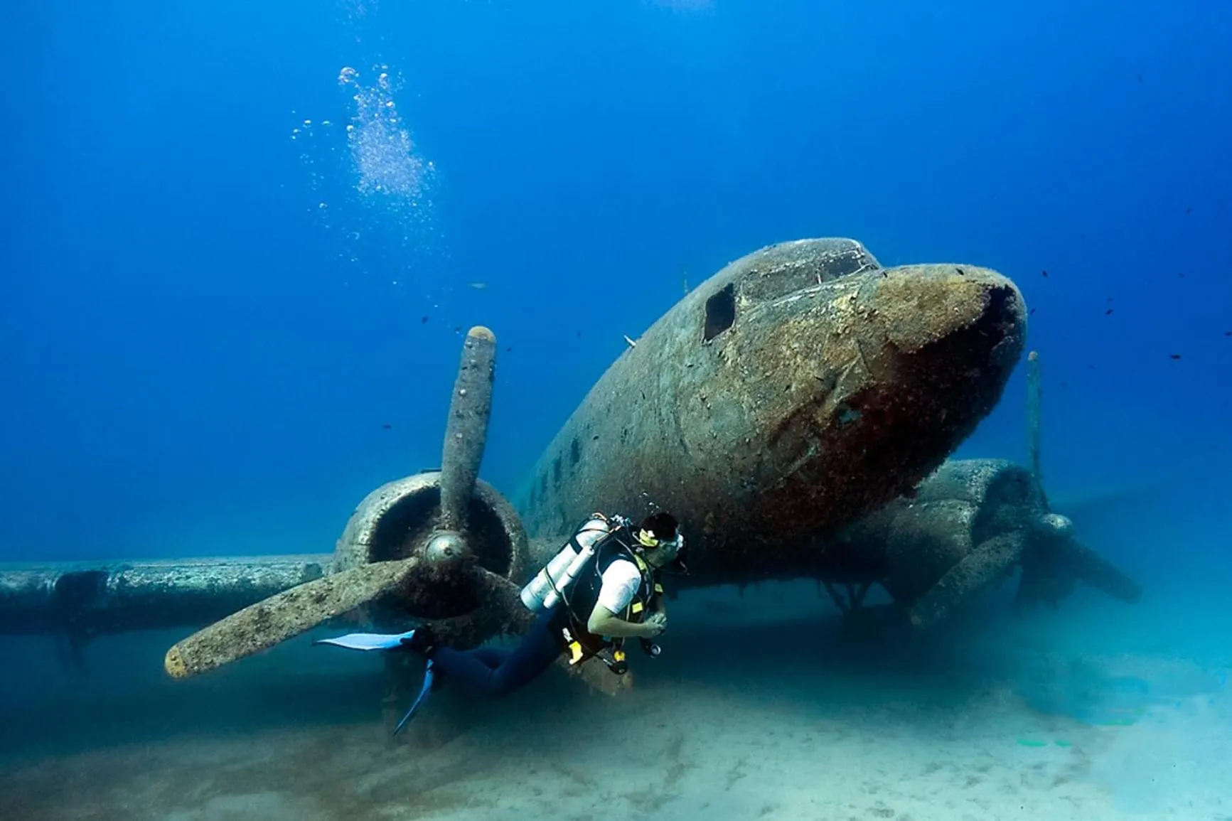 Diving in Medusa Hotel