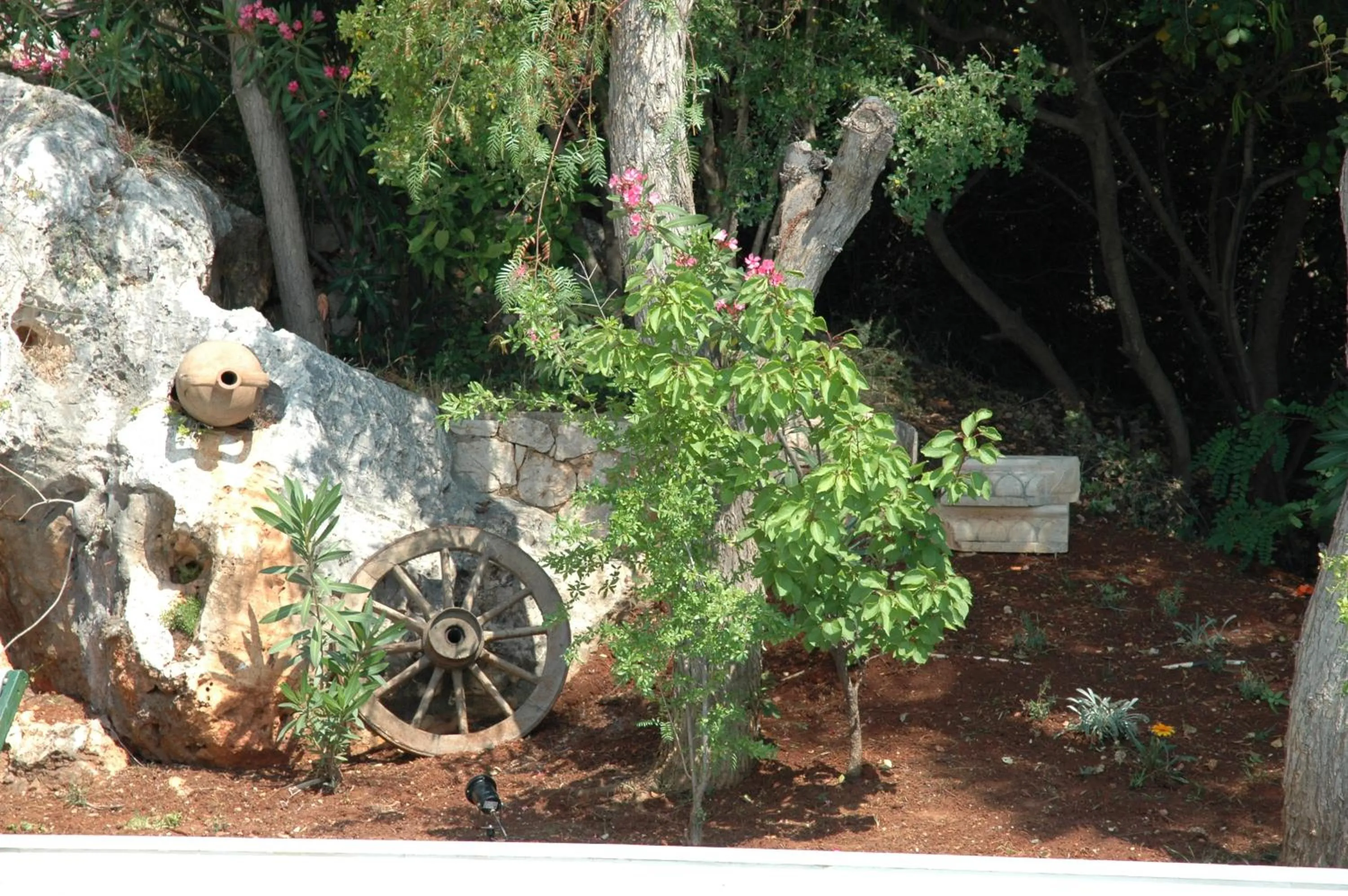 Garden in Medusa Hotel