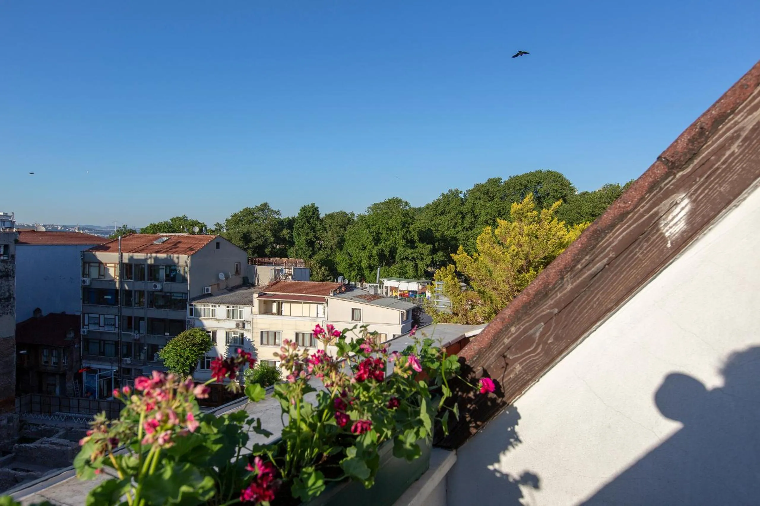 View (from property/room) in Hotellino Istanbul