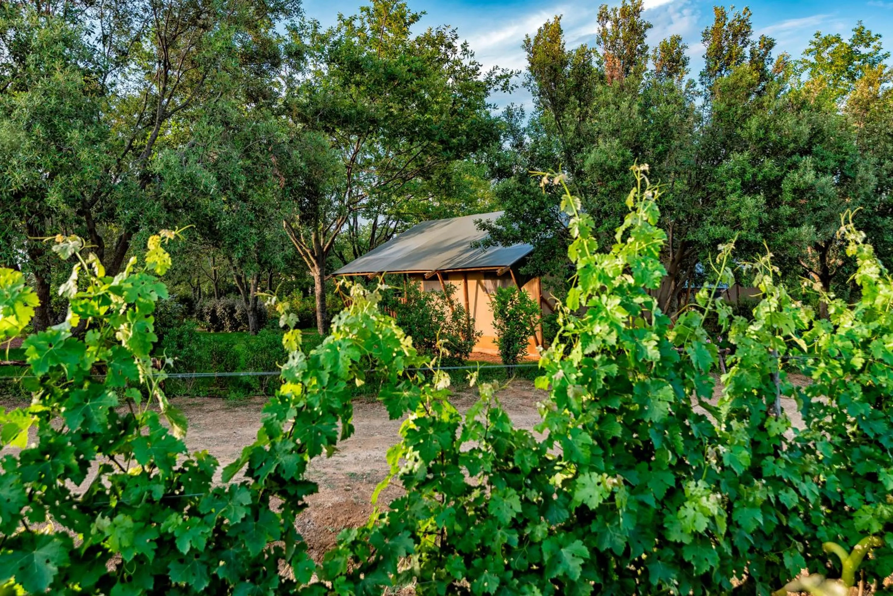 Property building in Glamping Tenuta Poggio Rosso
