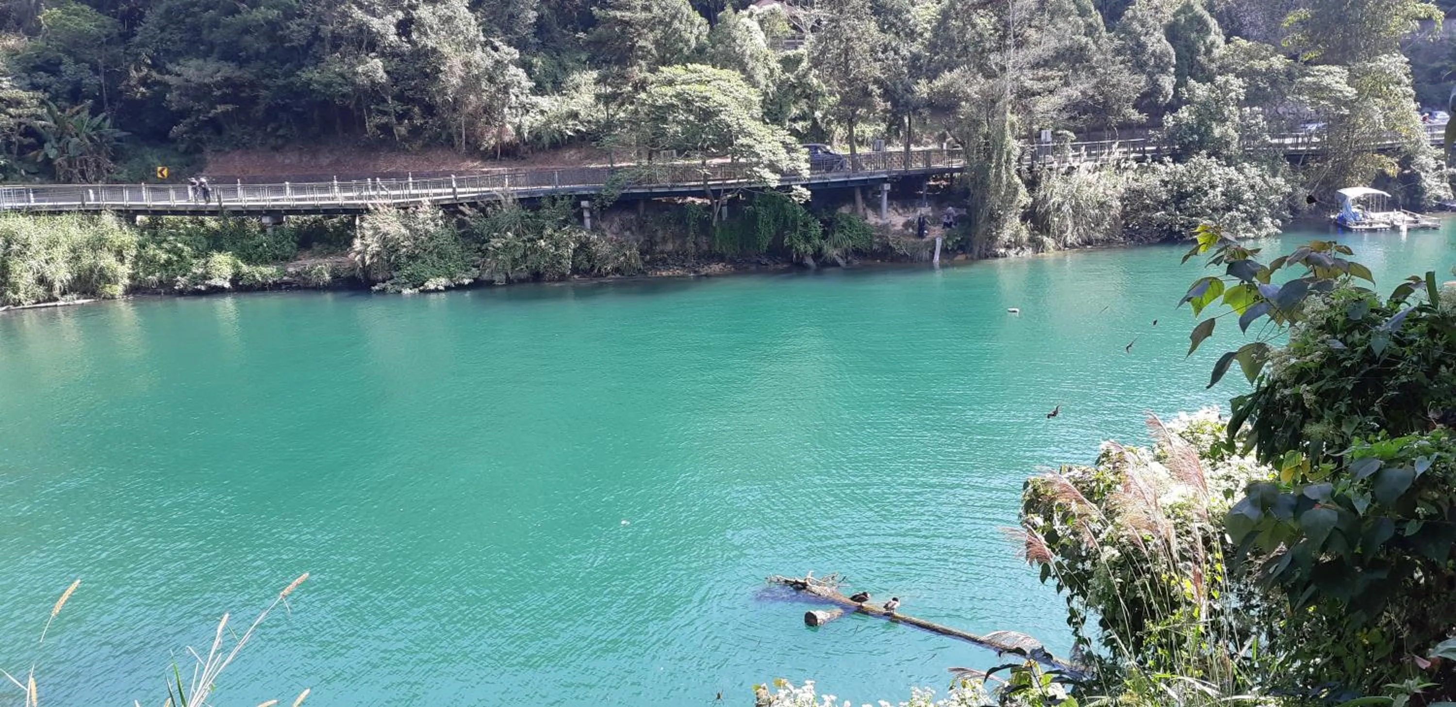 Natural landscape in Ze Hu B&B