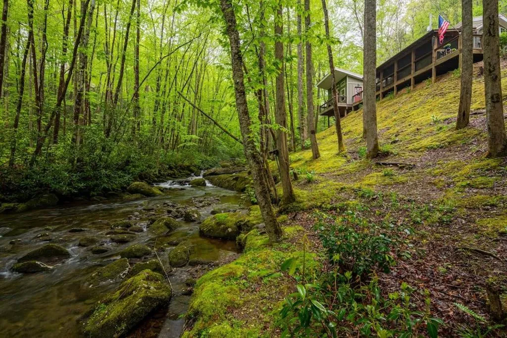 Property building in The Owl's Perch