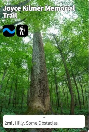 Nearby landmark in The Owl's Perch