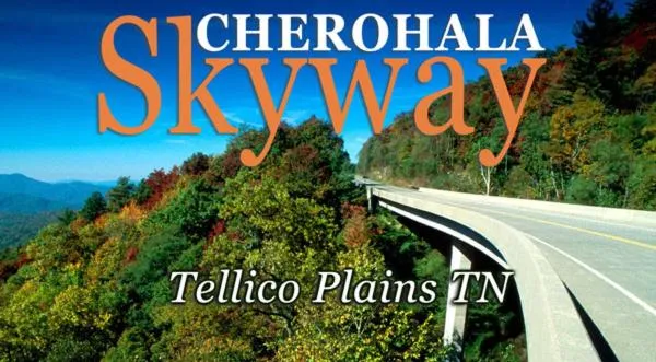 Nearby landmark in The Owl's Perch