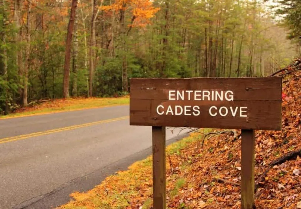 Nearby landmark in The Owl's Perch