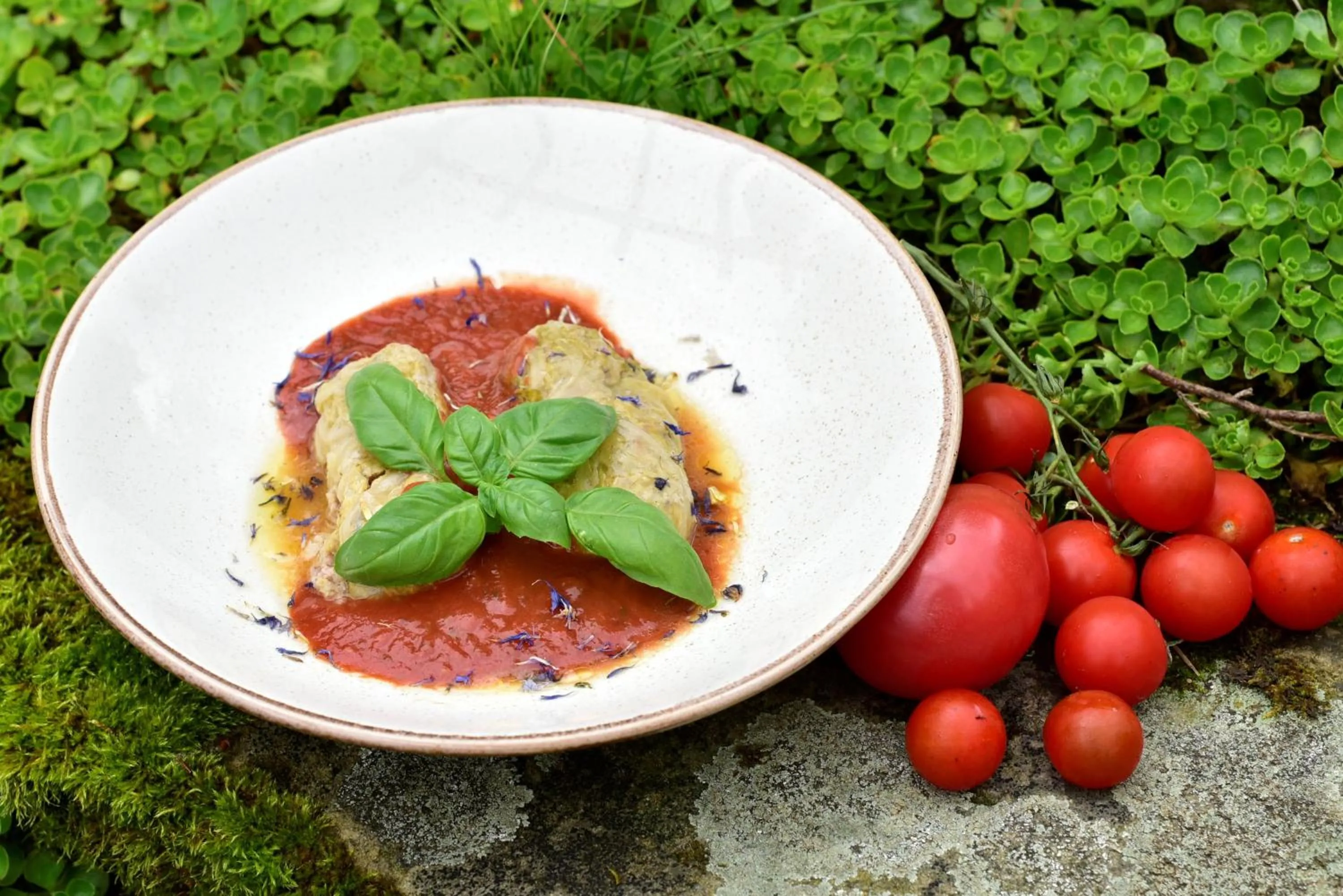 Lunch in Gościniec Nowa Wioska