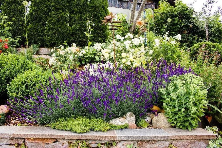 Garden in Spanglerhaus