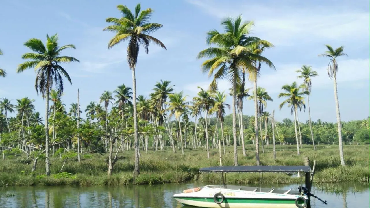 Garden view in Kayaloram Resort