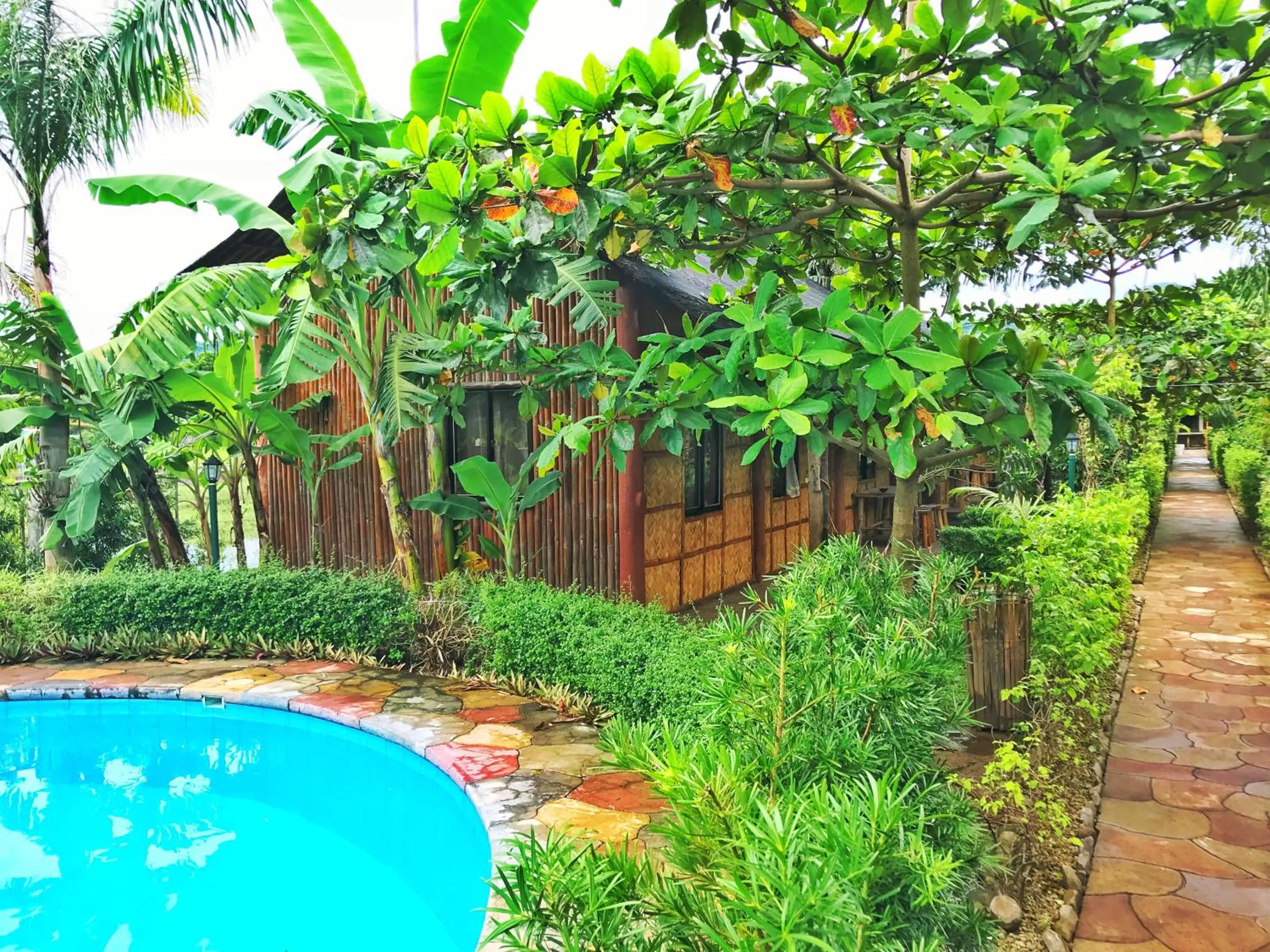 Garden in Calayo Beach Resort
