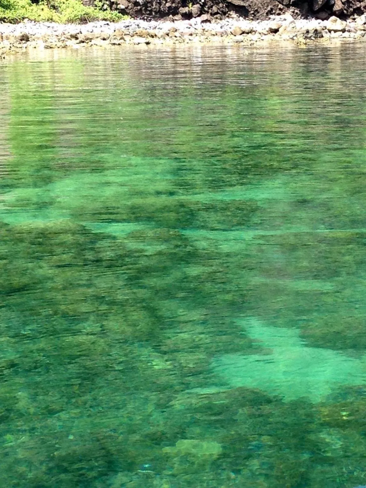 Natural landscape in Calayo Beach Resort