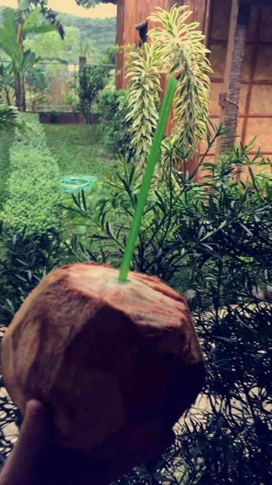 Summer in Calayo Beach Resort