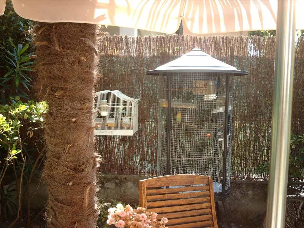 Pets in Le Villi FRIENDLY B&B