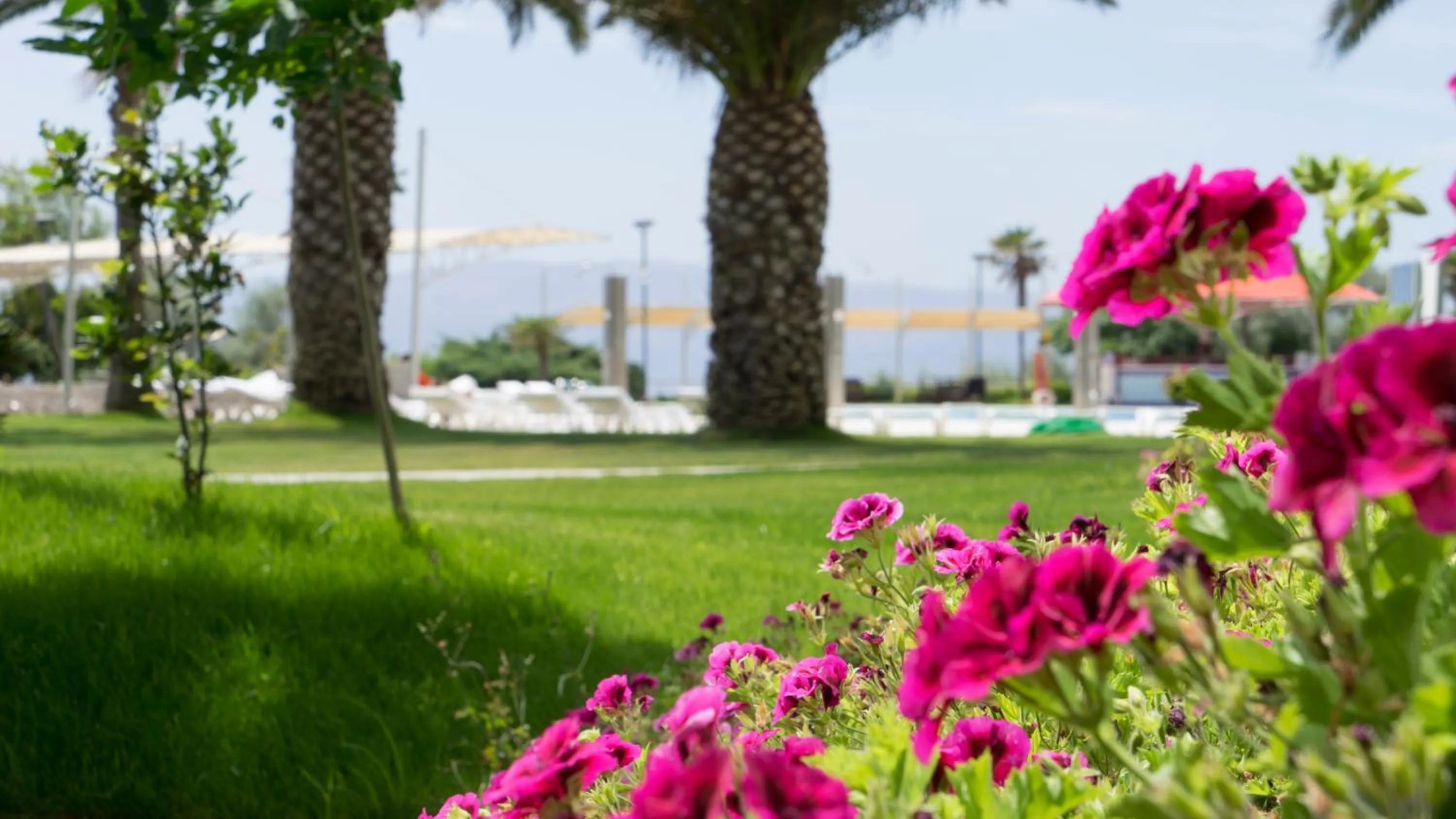 Garden view in Grand Hotel Ontur Cesme
