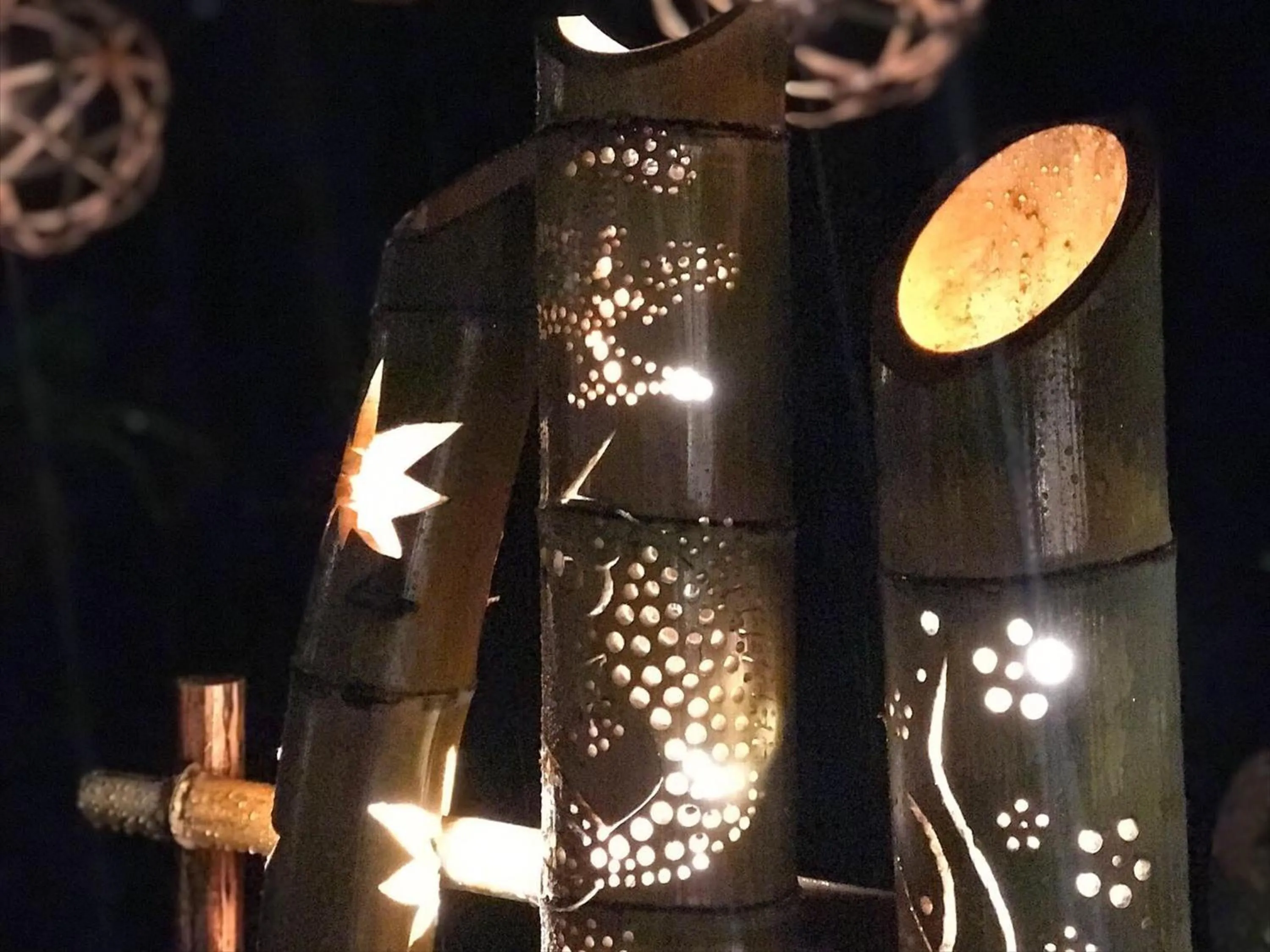 Garden in Hakone Kowakien Tenyu