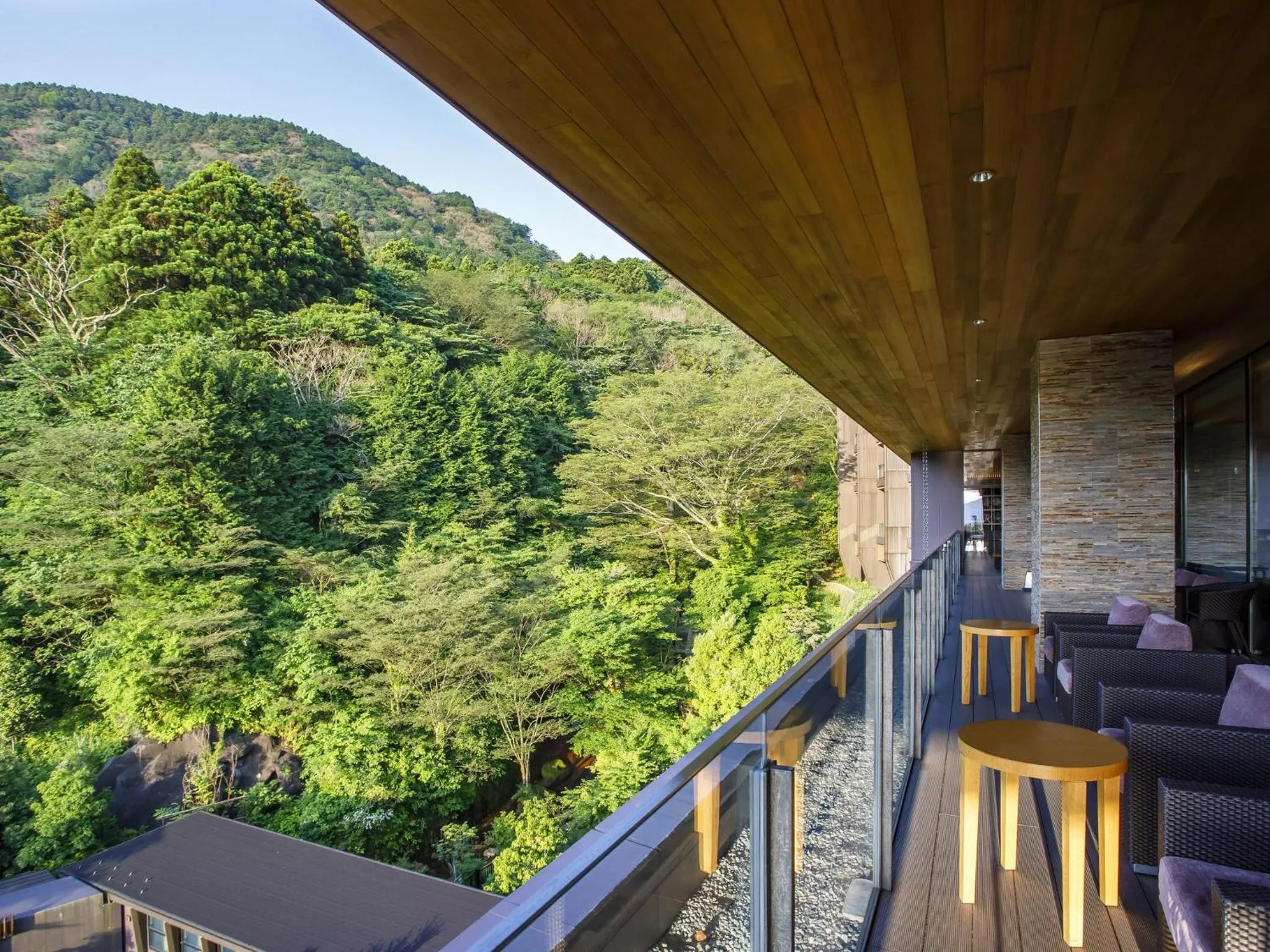 View (from property/room) in Hakone Kowakien Tenyu