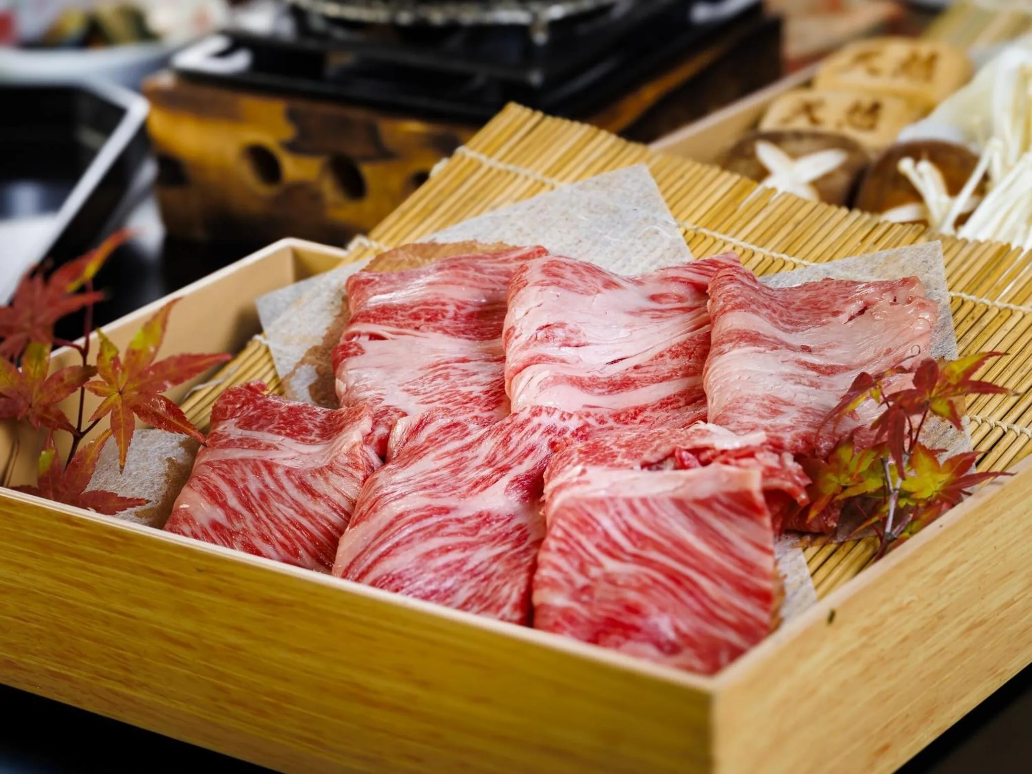 Hakone Kowakien Tenyu