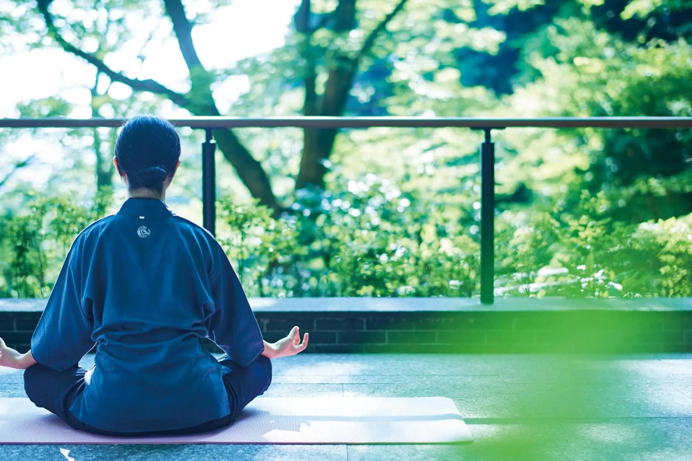 Activities in Hakone Kowakien Tenyu