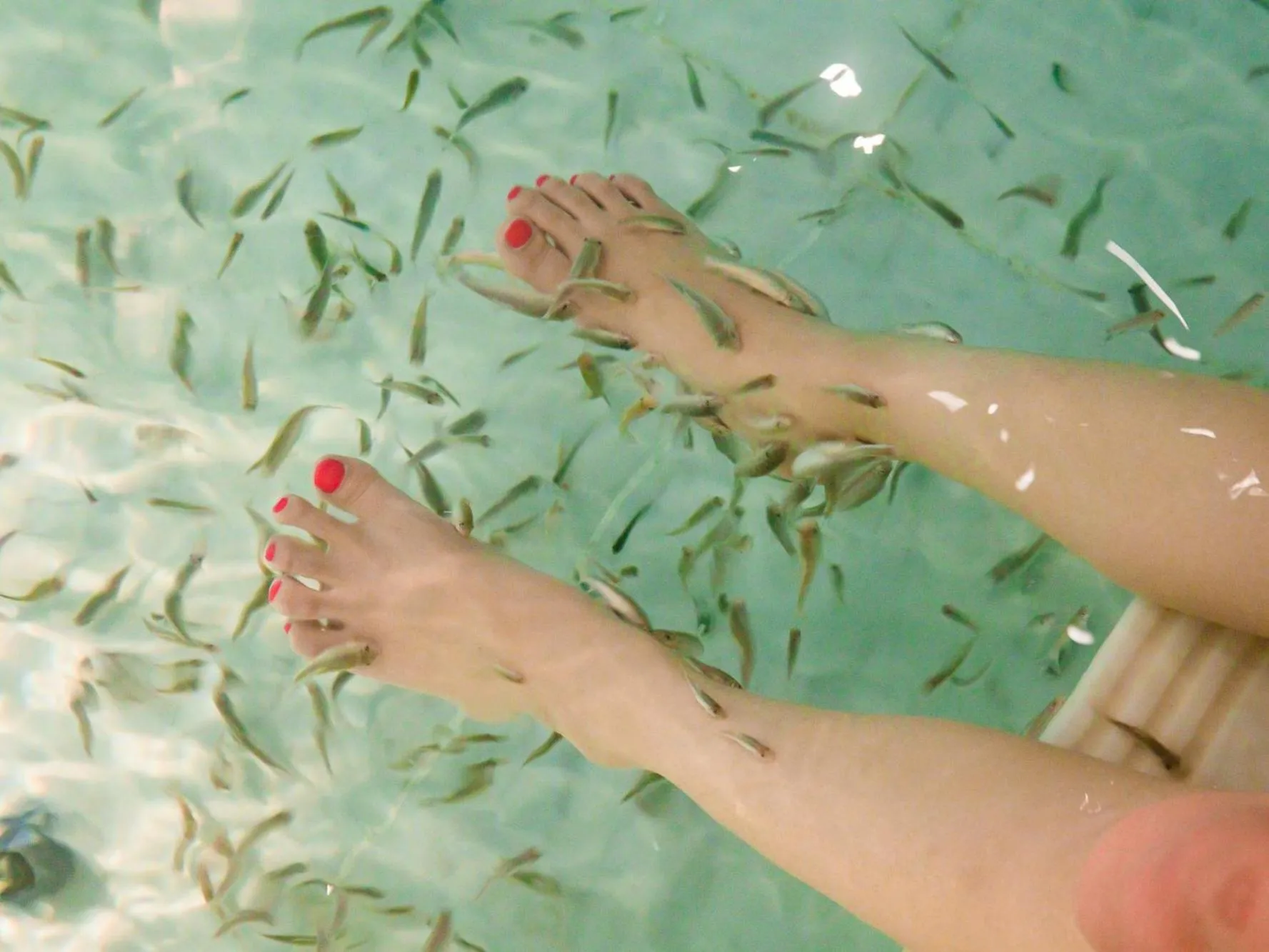 Area and facilities in Hakone Kowakien Tenyu