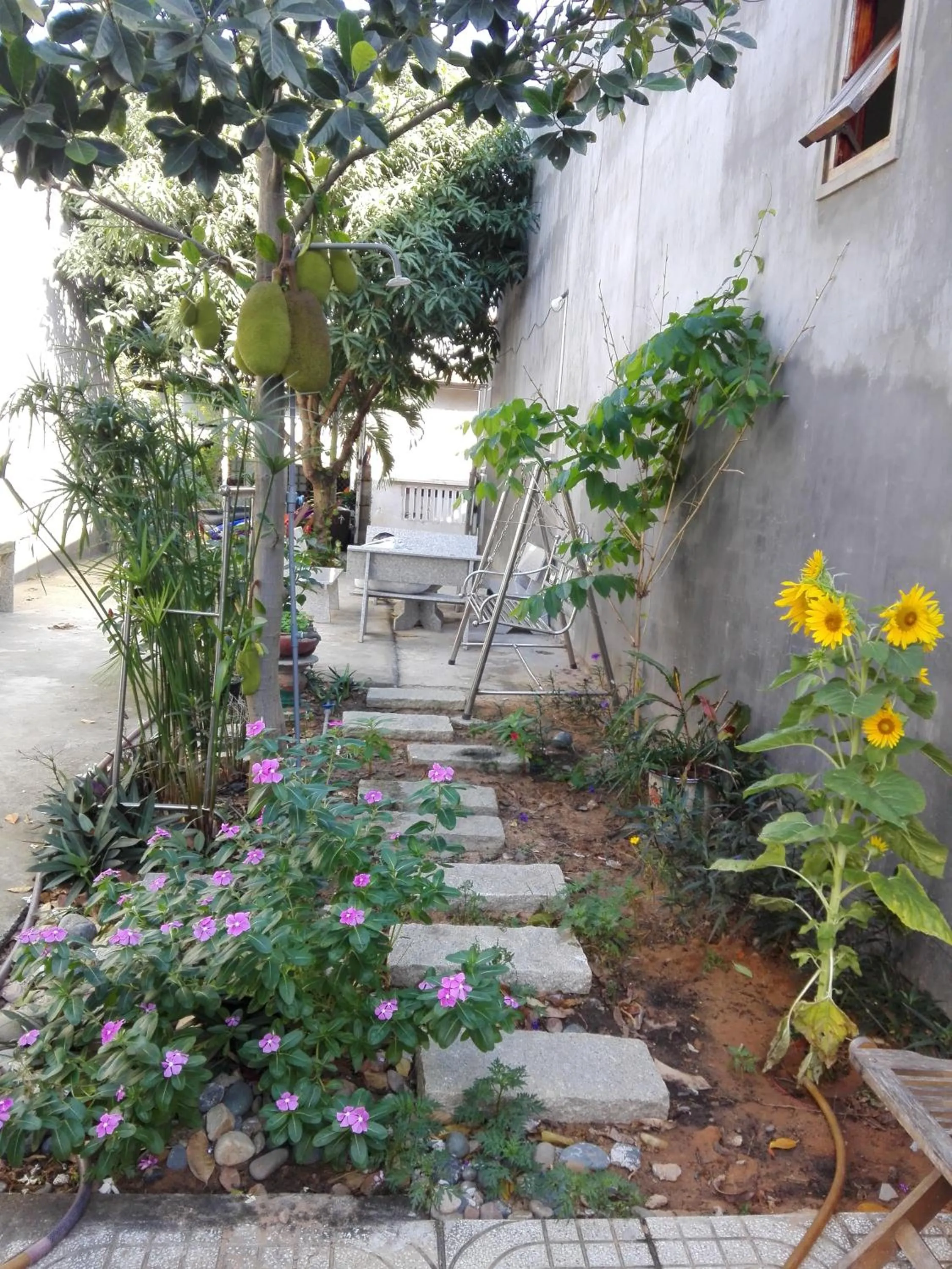 Garden in The House 17/1