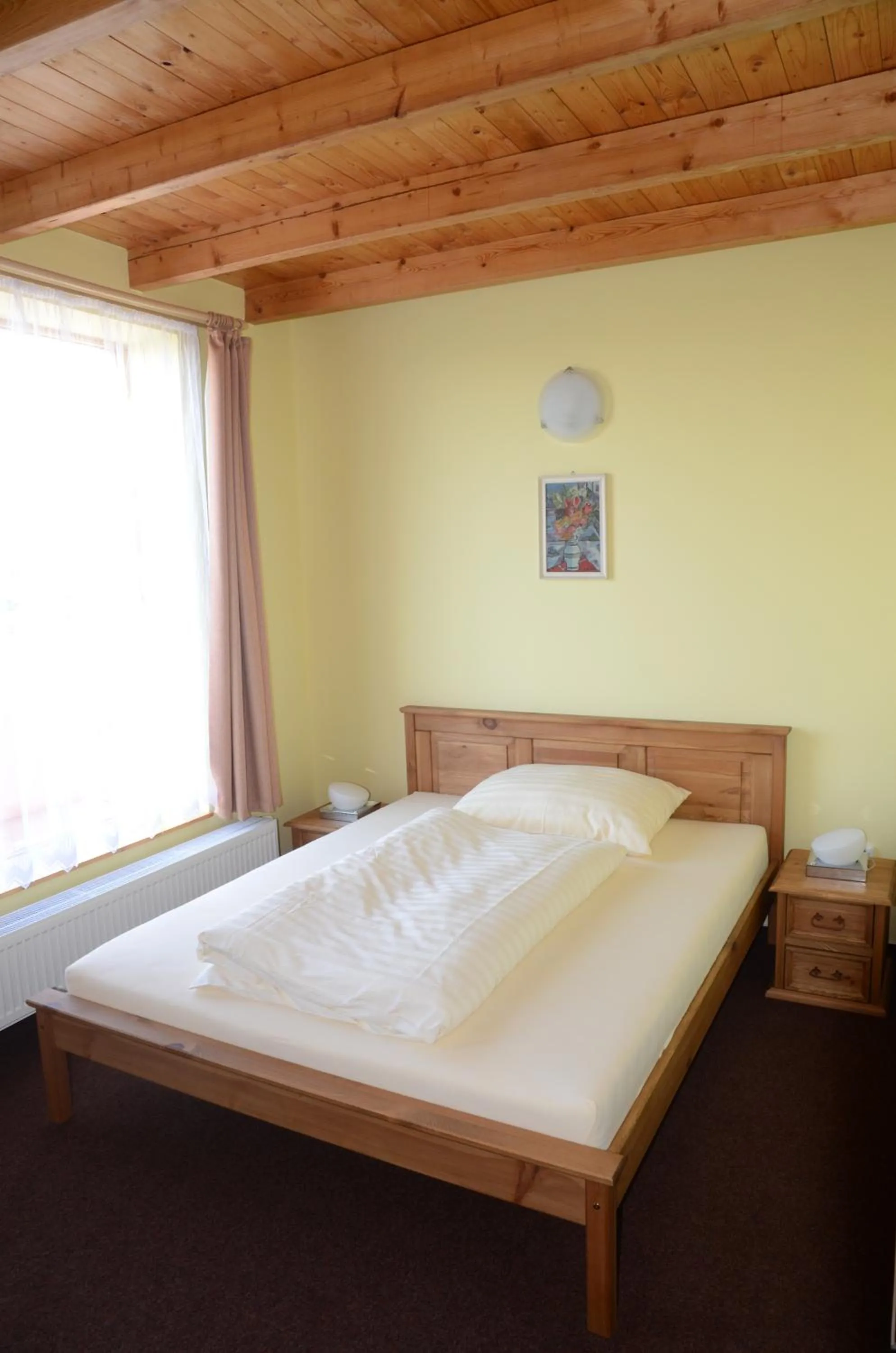 Double Room - single occupancy in Penzion Folbr