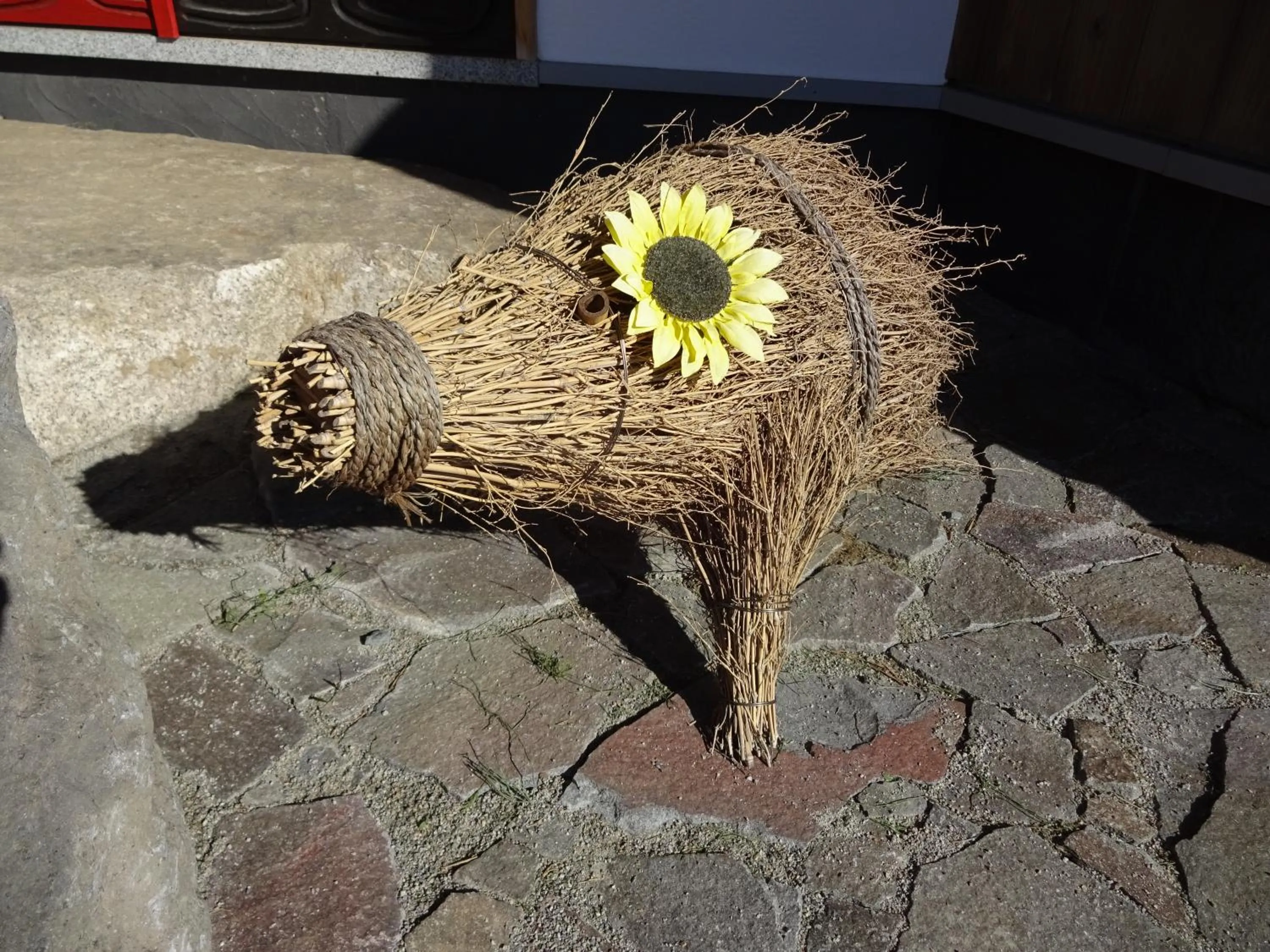 Animals in Twin Dome Ryugu