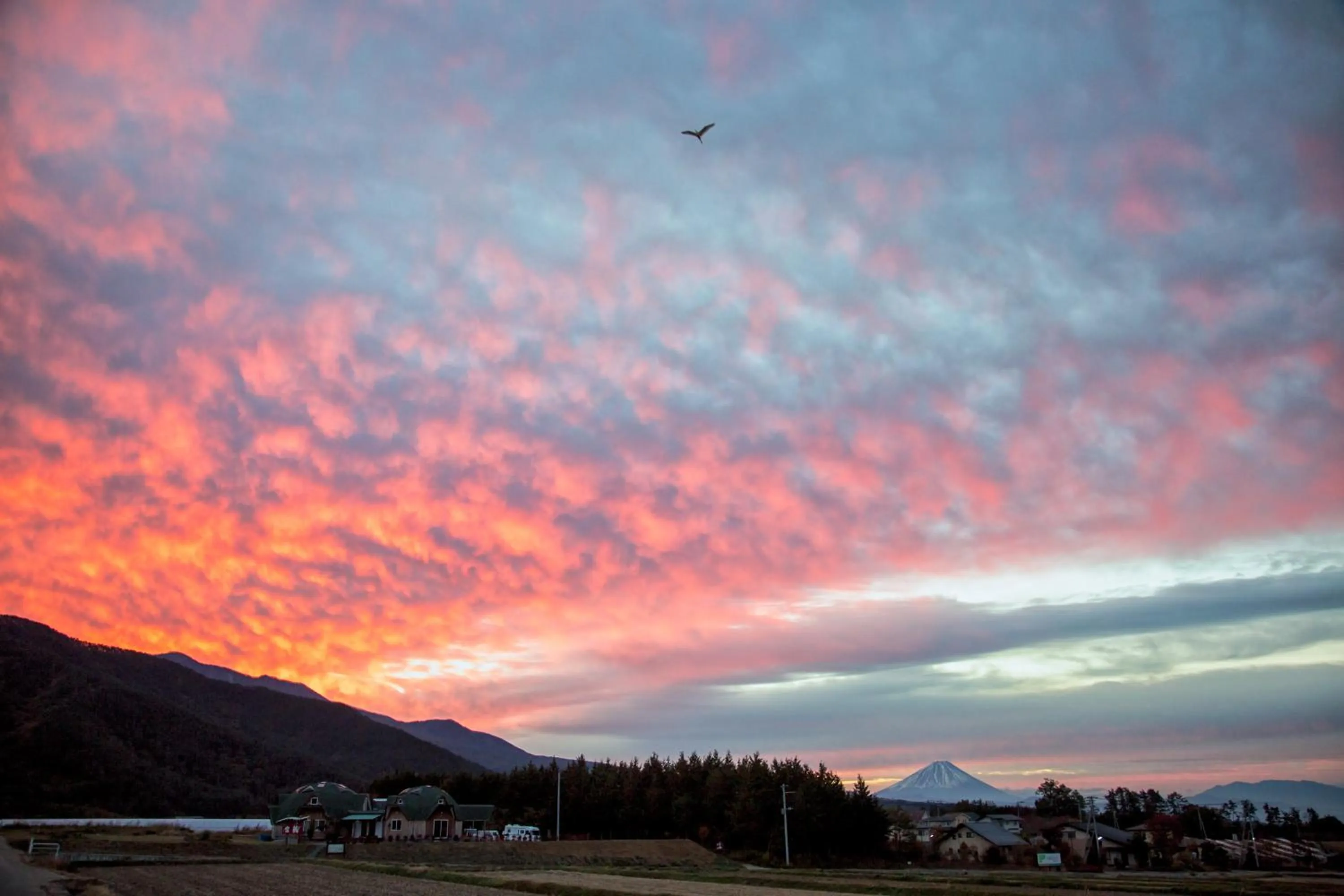 Off site in Twin Dome Ryugu