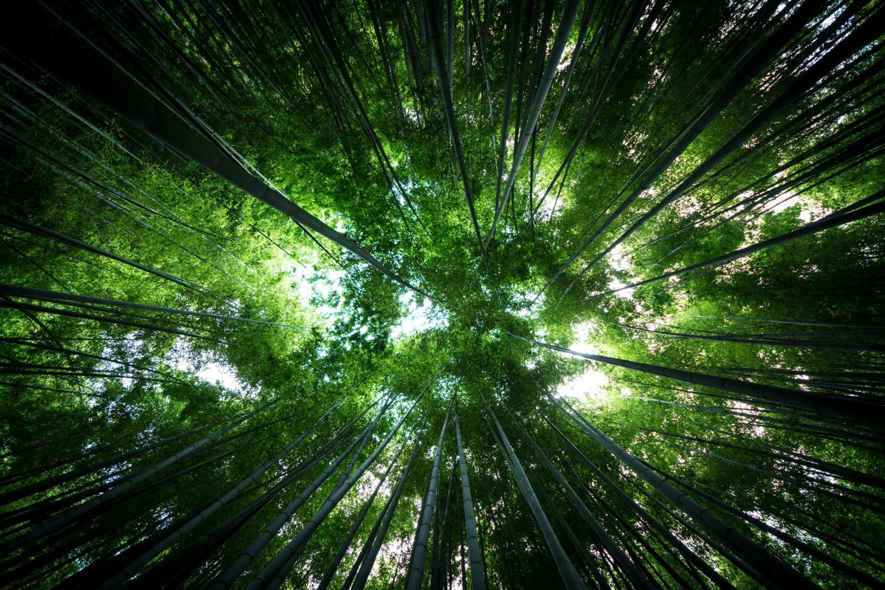 Nearby landmark in Plage Yuigahama