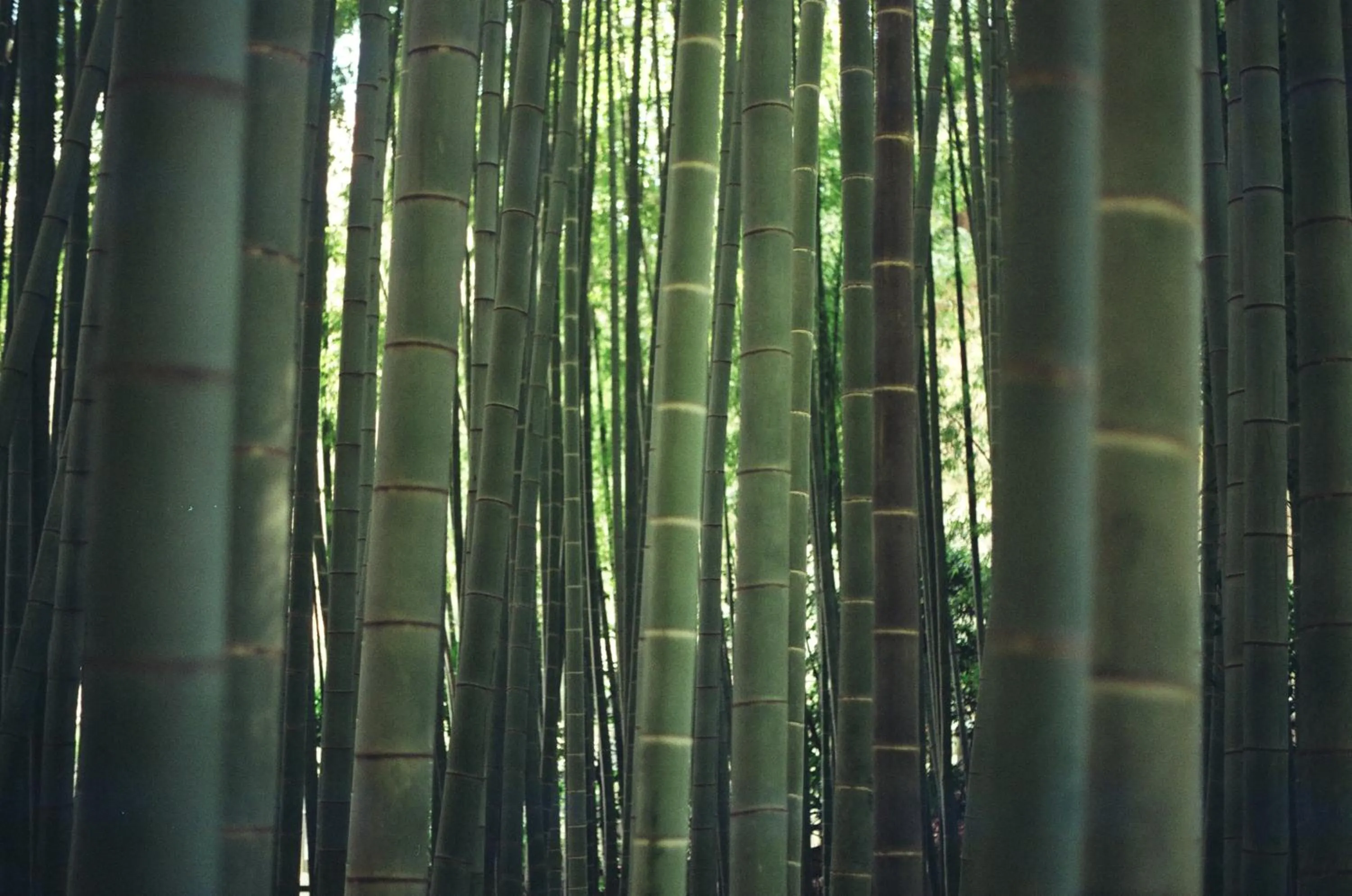 Nearby landmark in Plage Yuigahama