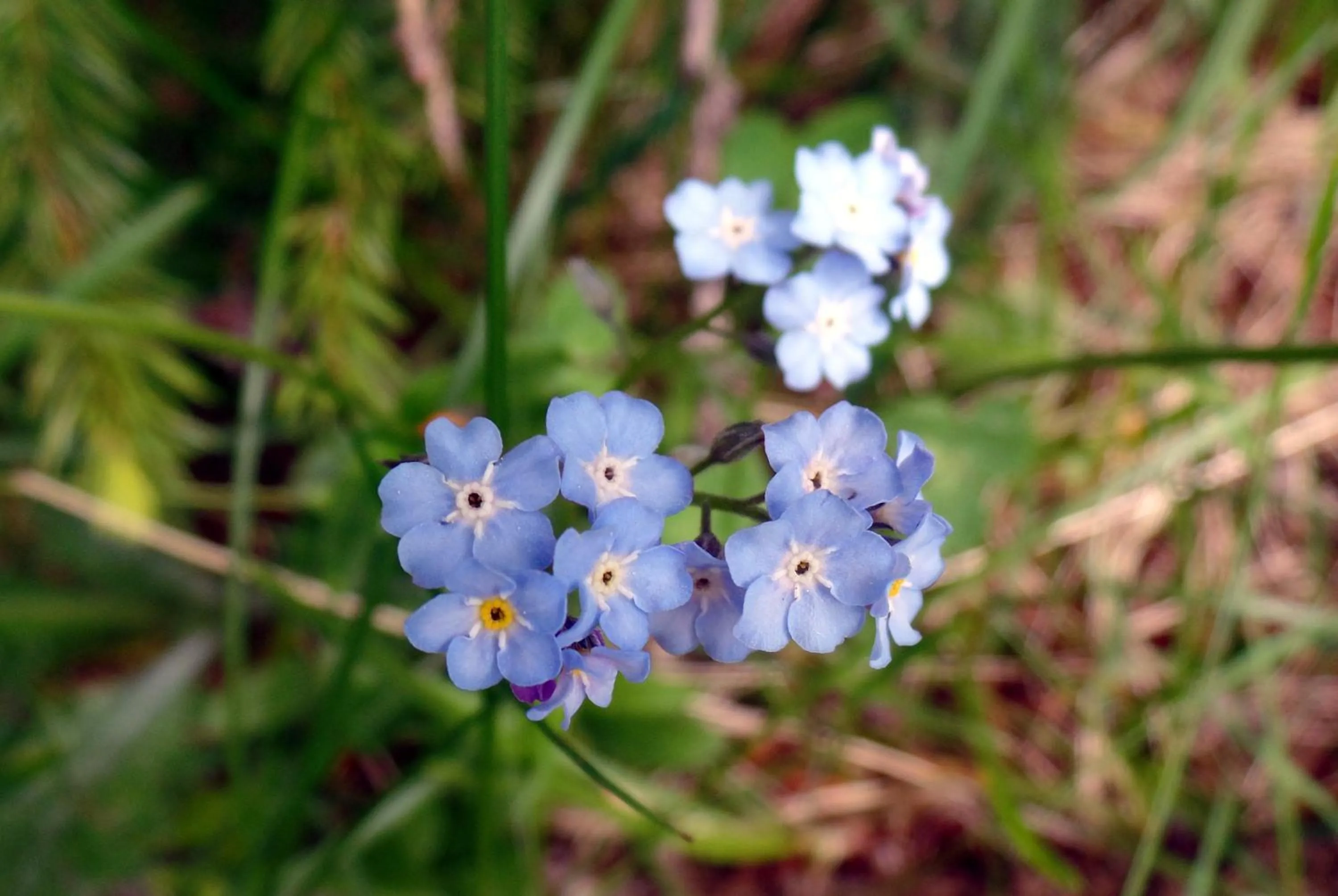 Natural landscape in Appartamento "Le Temps d'une Pause"