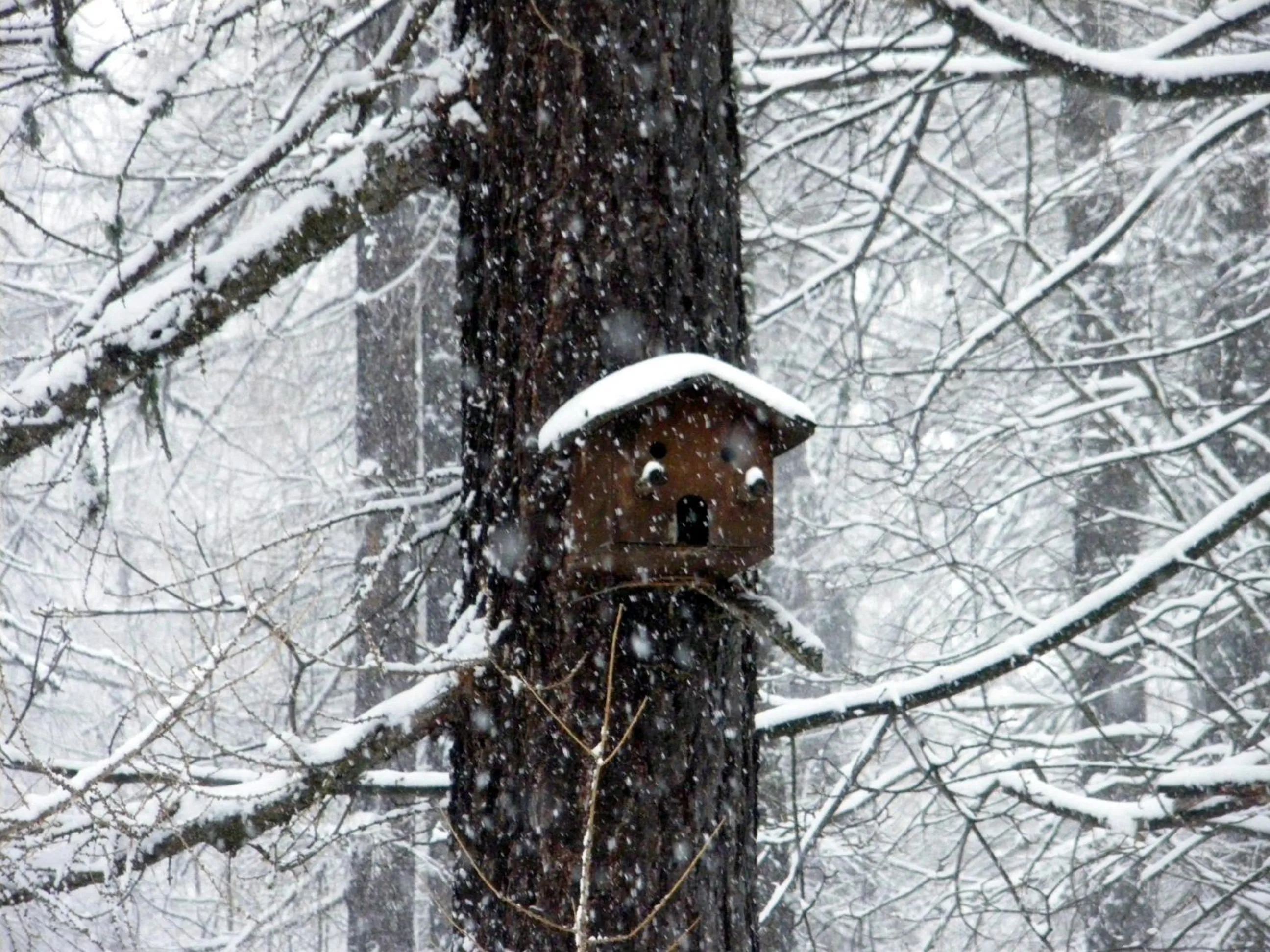 Winter in Appartamento "Le Temps d'une Pause"