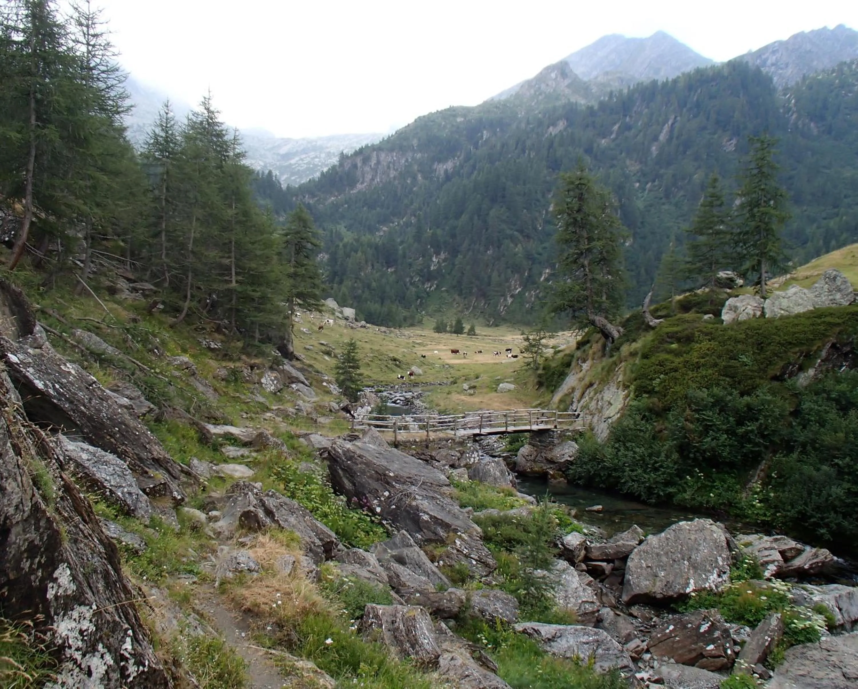 Natural landscape in Appartamento "Le Temps d'une Pause"