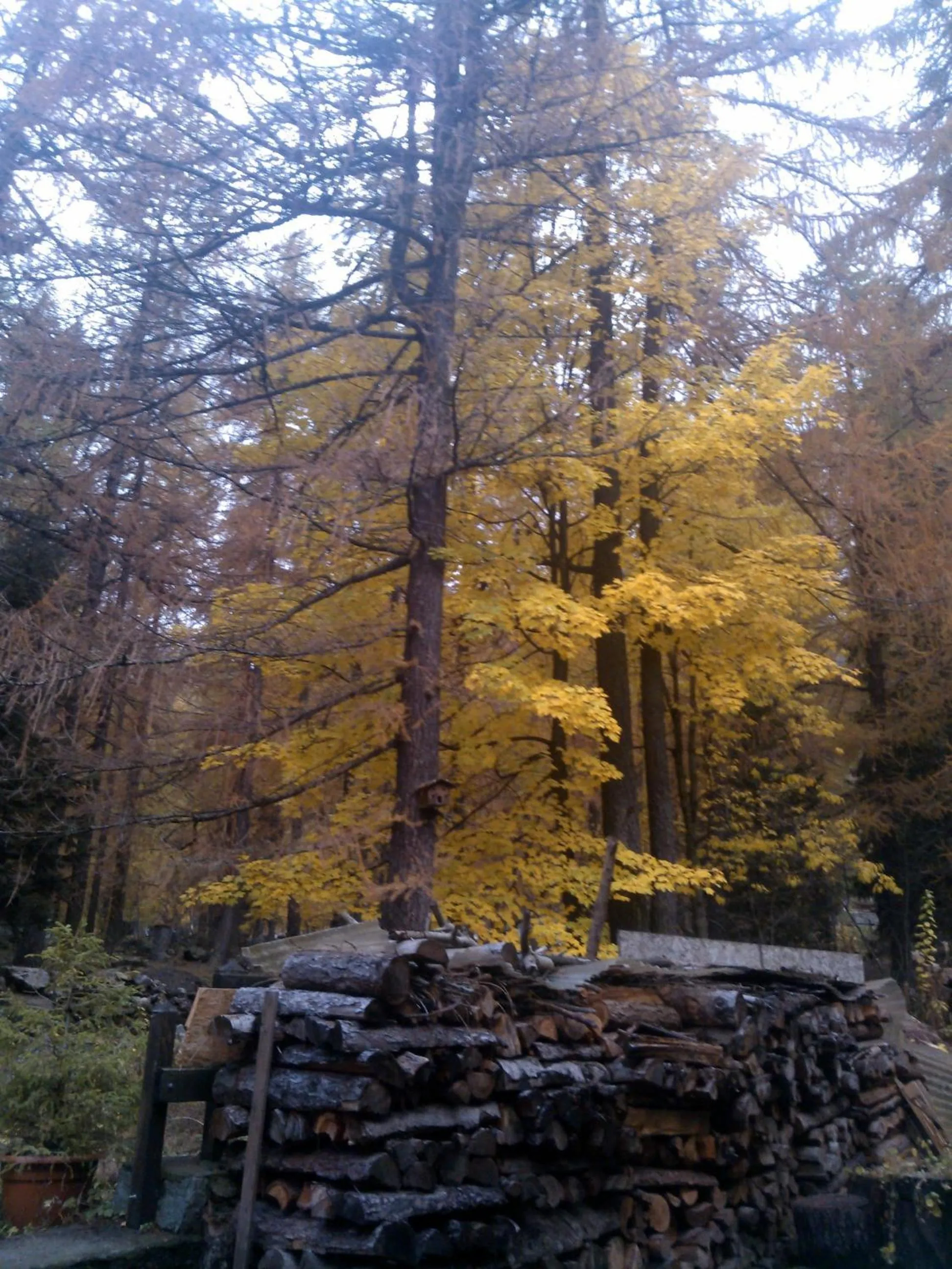 Autumn in Appartamento "Le Temps d'une Pause"