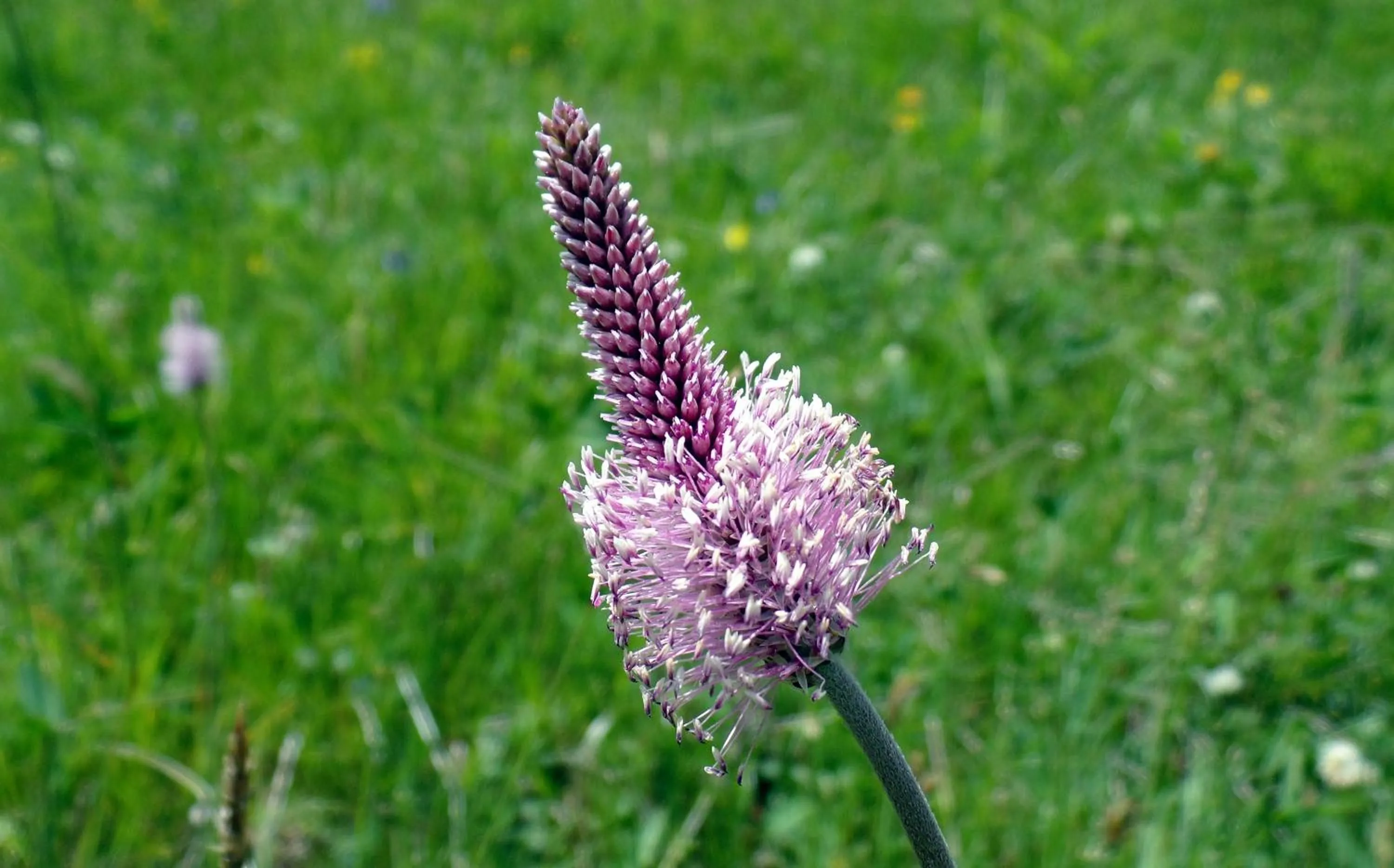 Natural landscape in Appartamento "Le Temps d'une Pause"