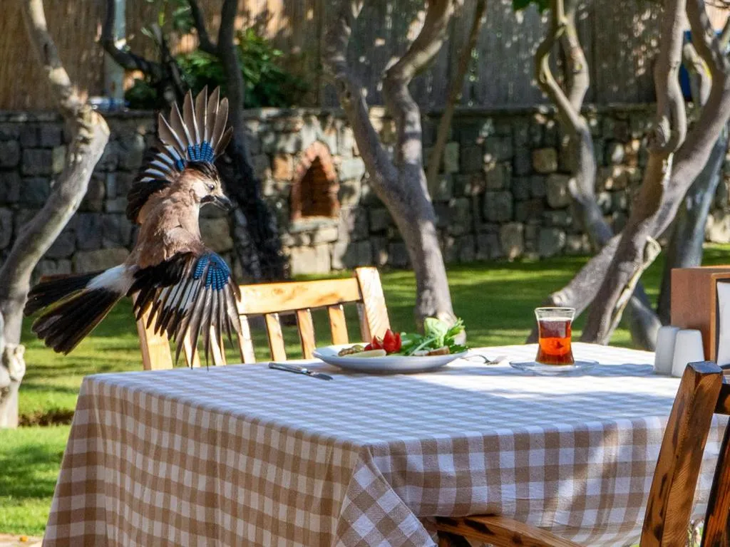 Restaurant/places to eat in Hotel Gumusluk