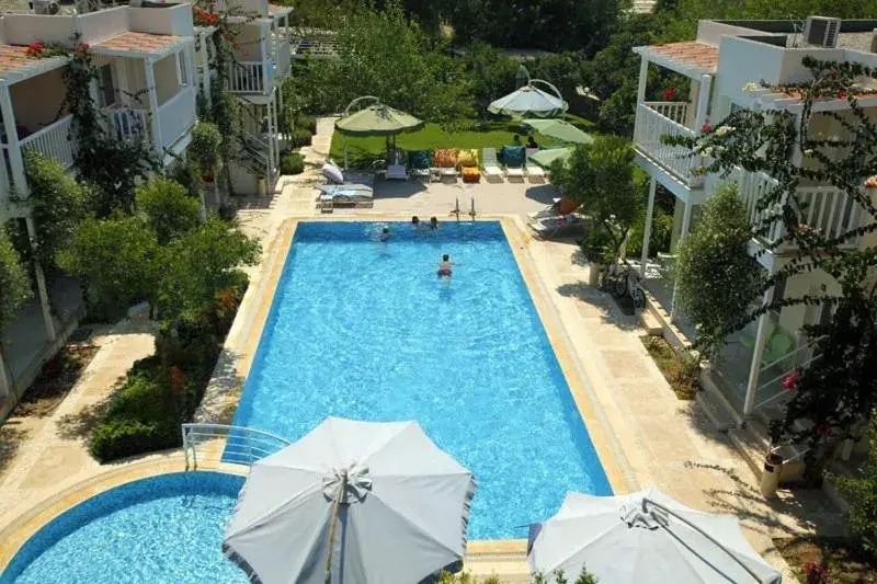 Swimming pool in Hotel Gumusluk Swimming pool in Hotel Gumusluk