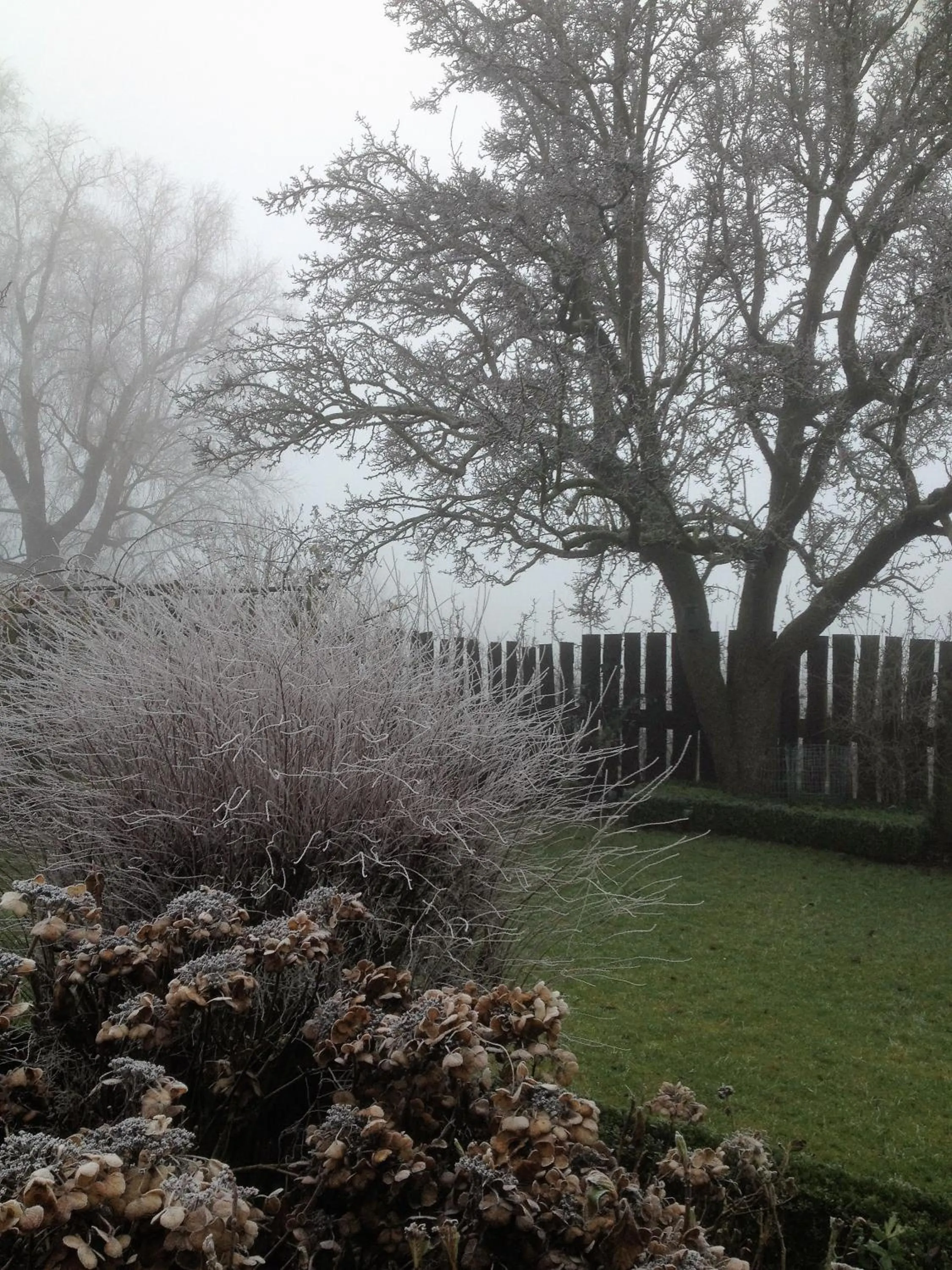 Winter in B&B 't Pakhuis