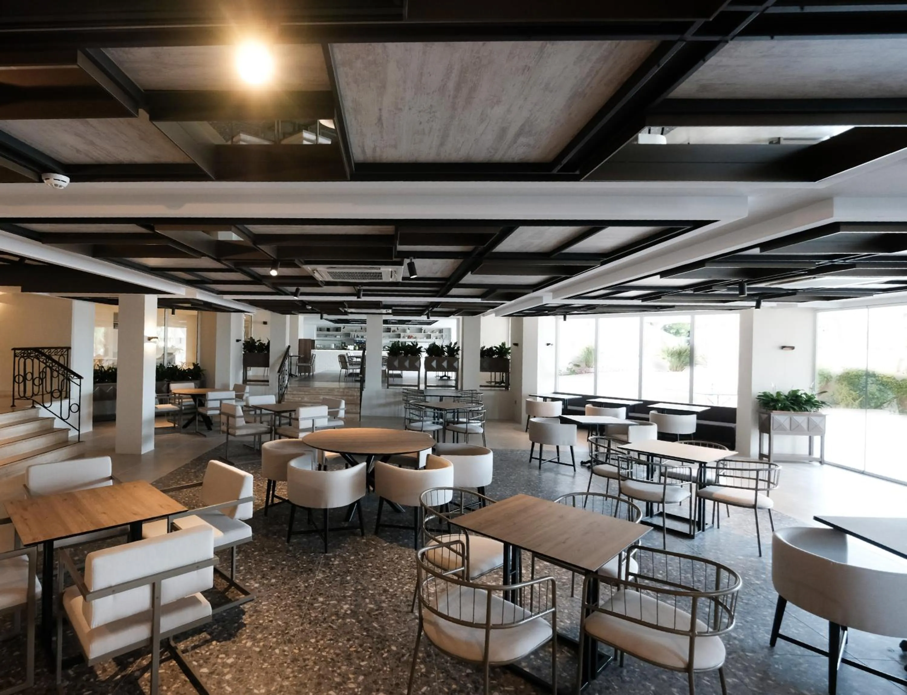 Restaurant/places to eat in Paloma Perissia