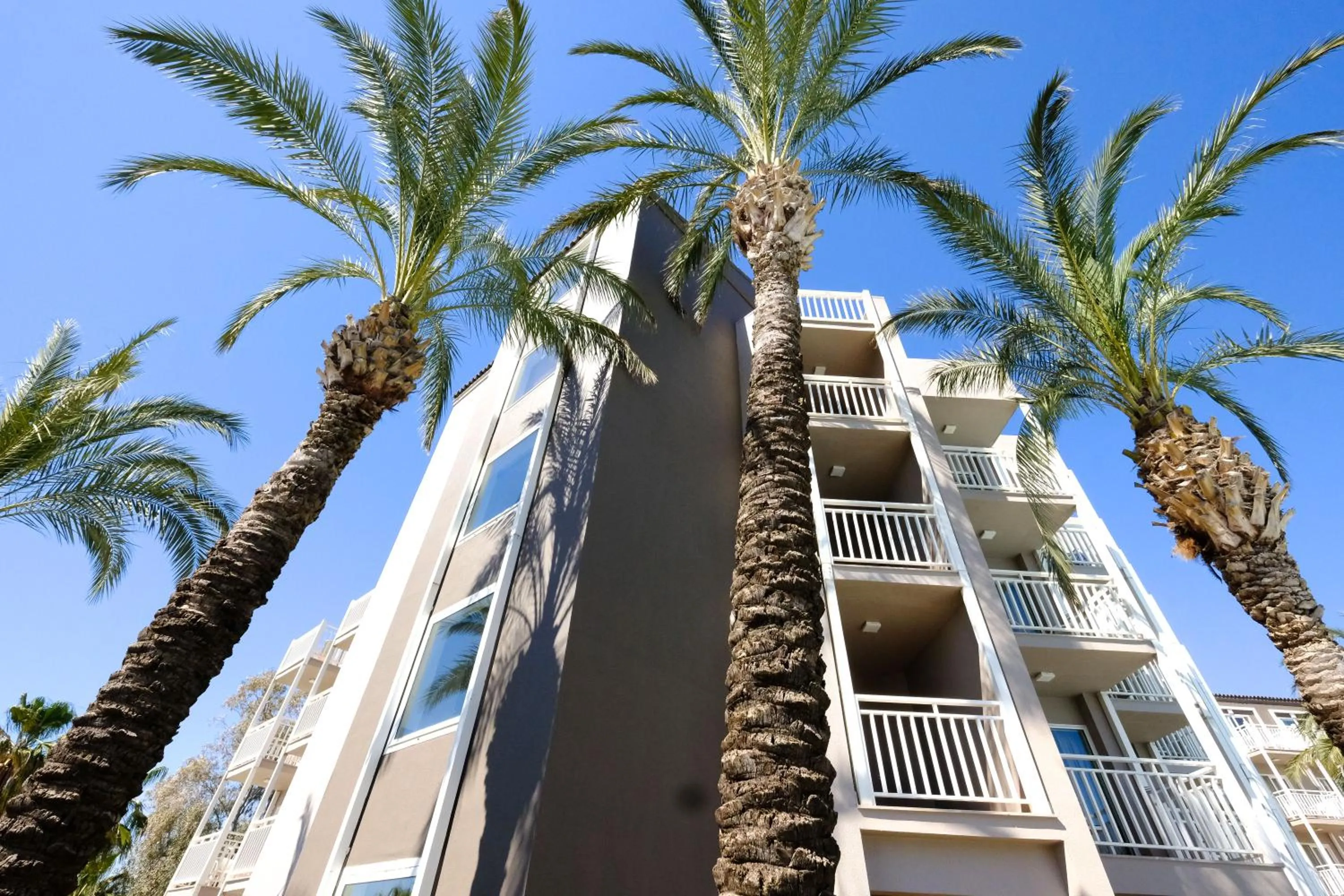 Property building in Paloma Perissia