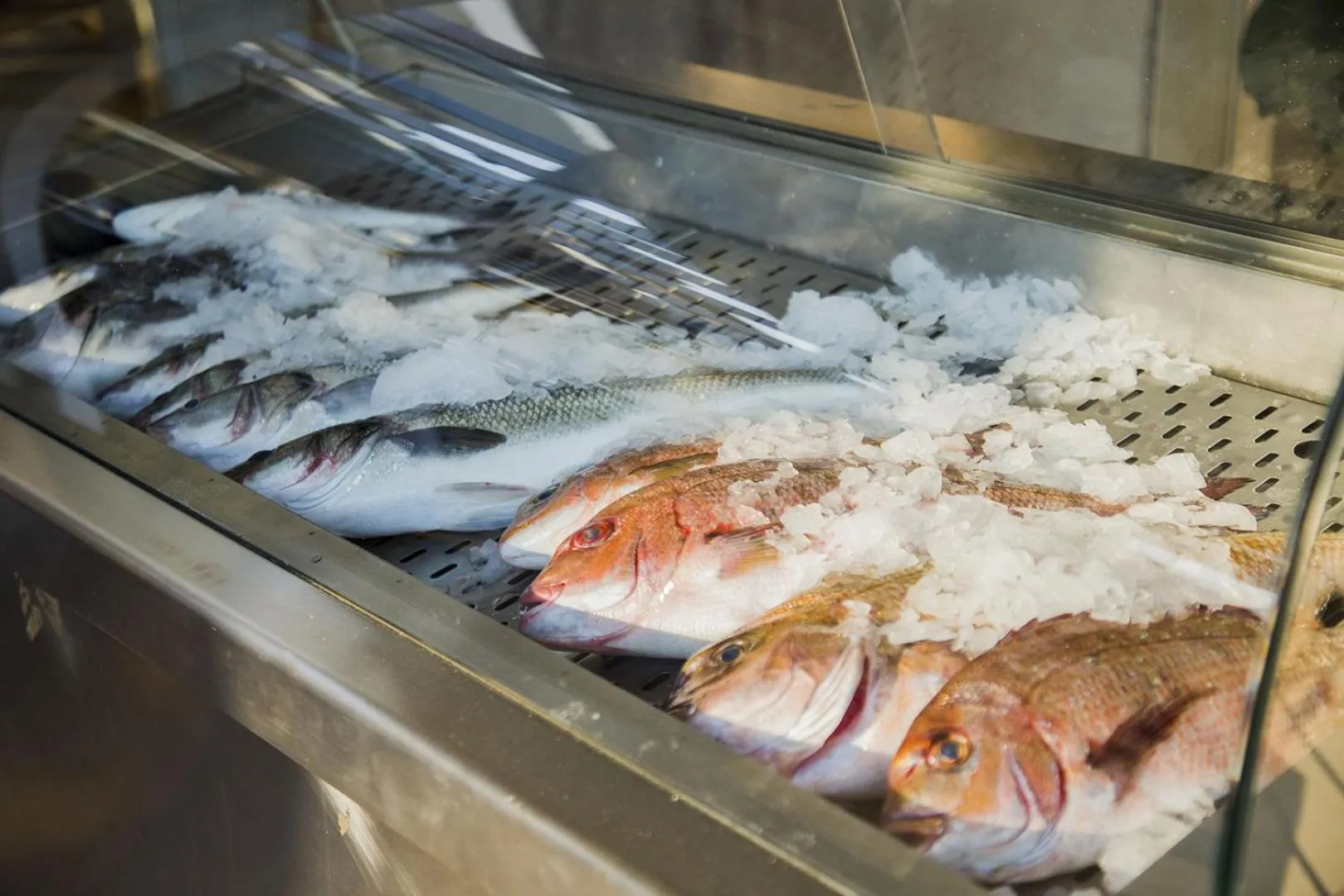 Food in Kasta Beach Hotel