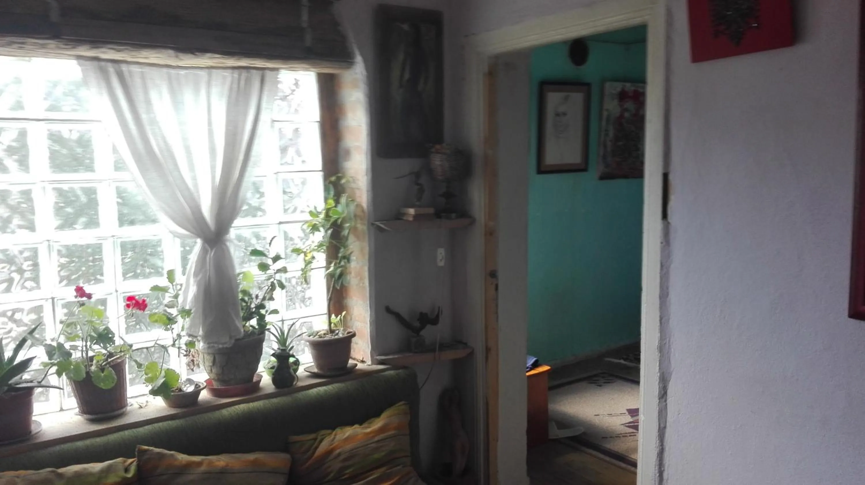 Single Bed in Female Dormitory Room in At Home Hostel