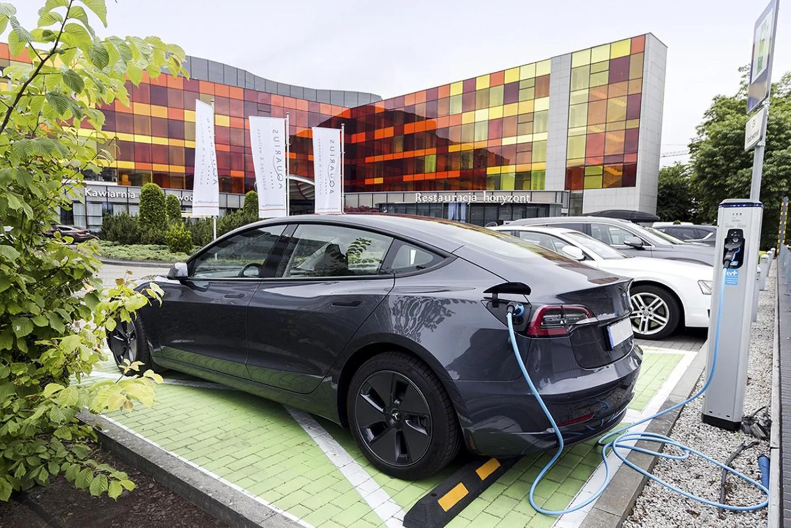 Area and facilities in Hotel Aquarius SPA