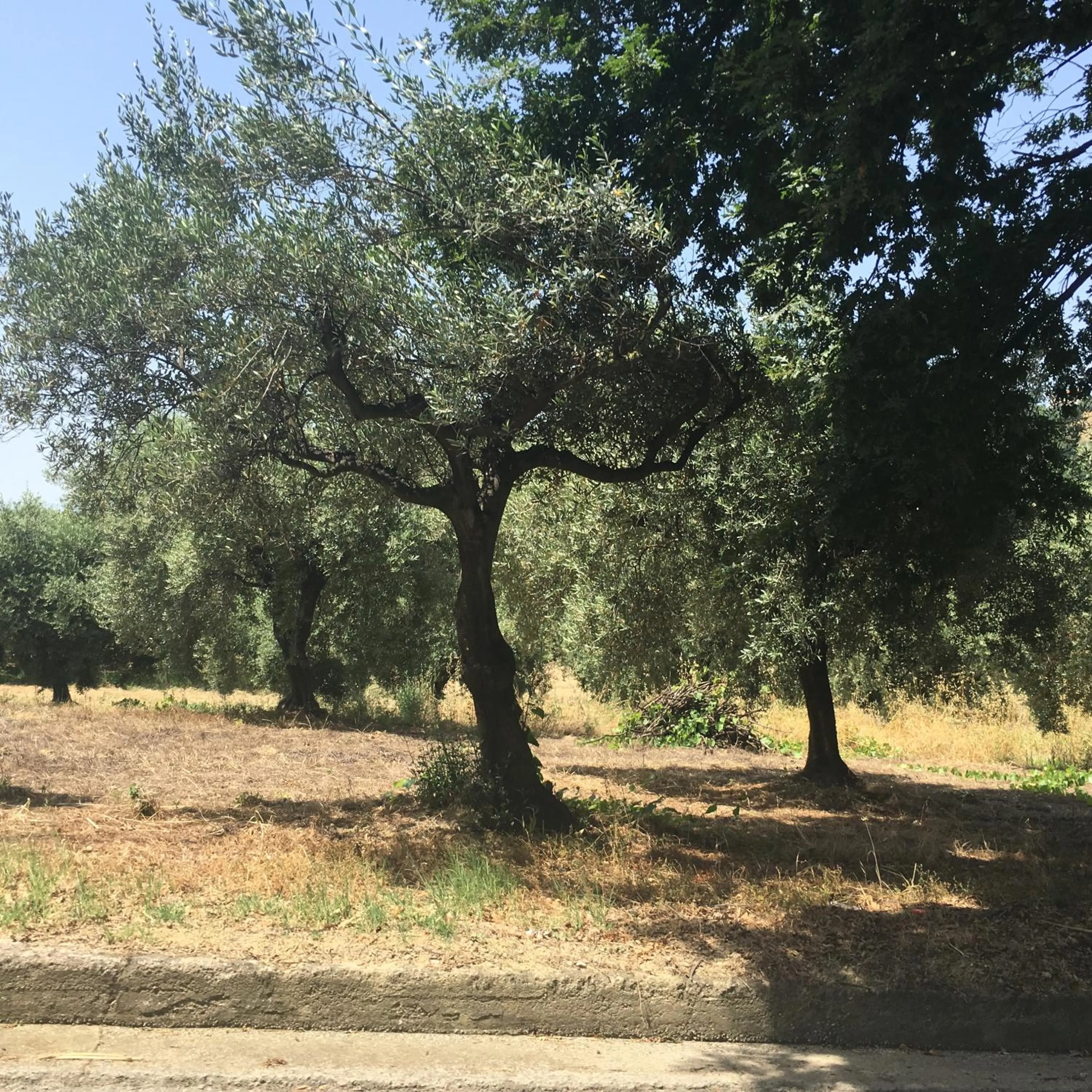 Natural landscape in Pollutrendy