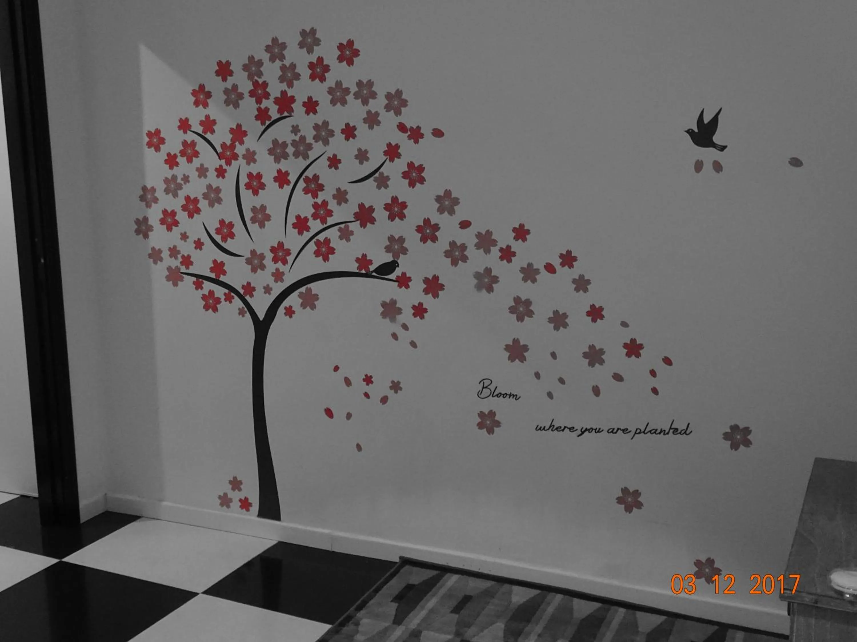 Rocchi Residence