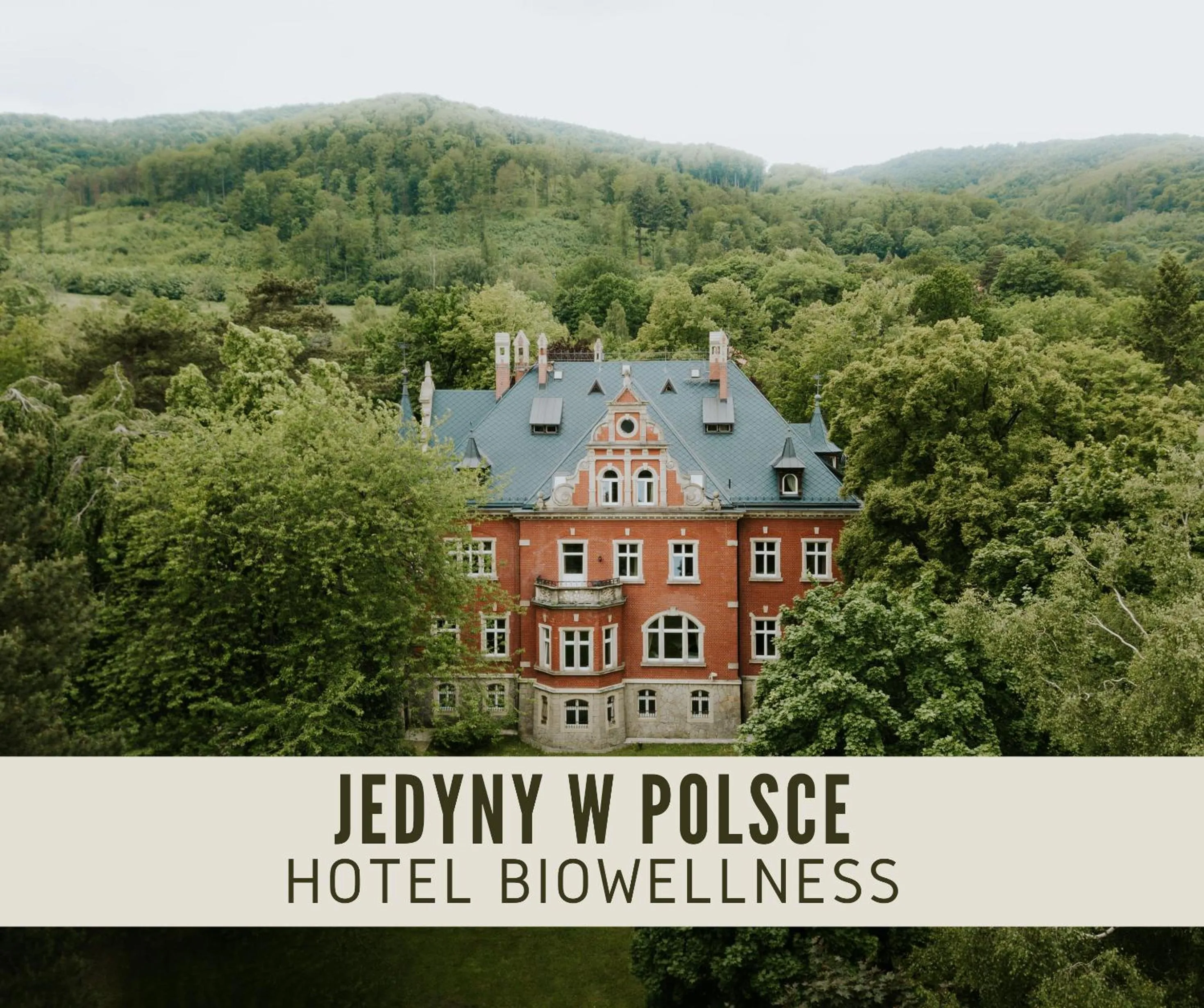 Hotel Dębowy Biowellness & SPA Góry Sowie