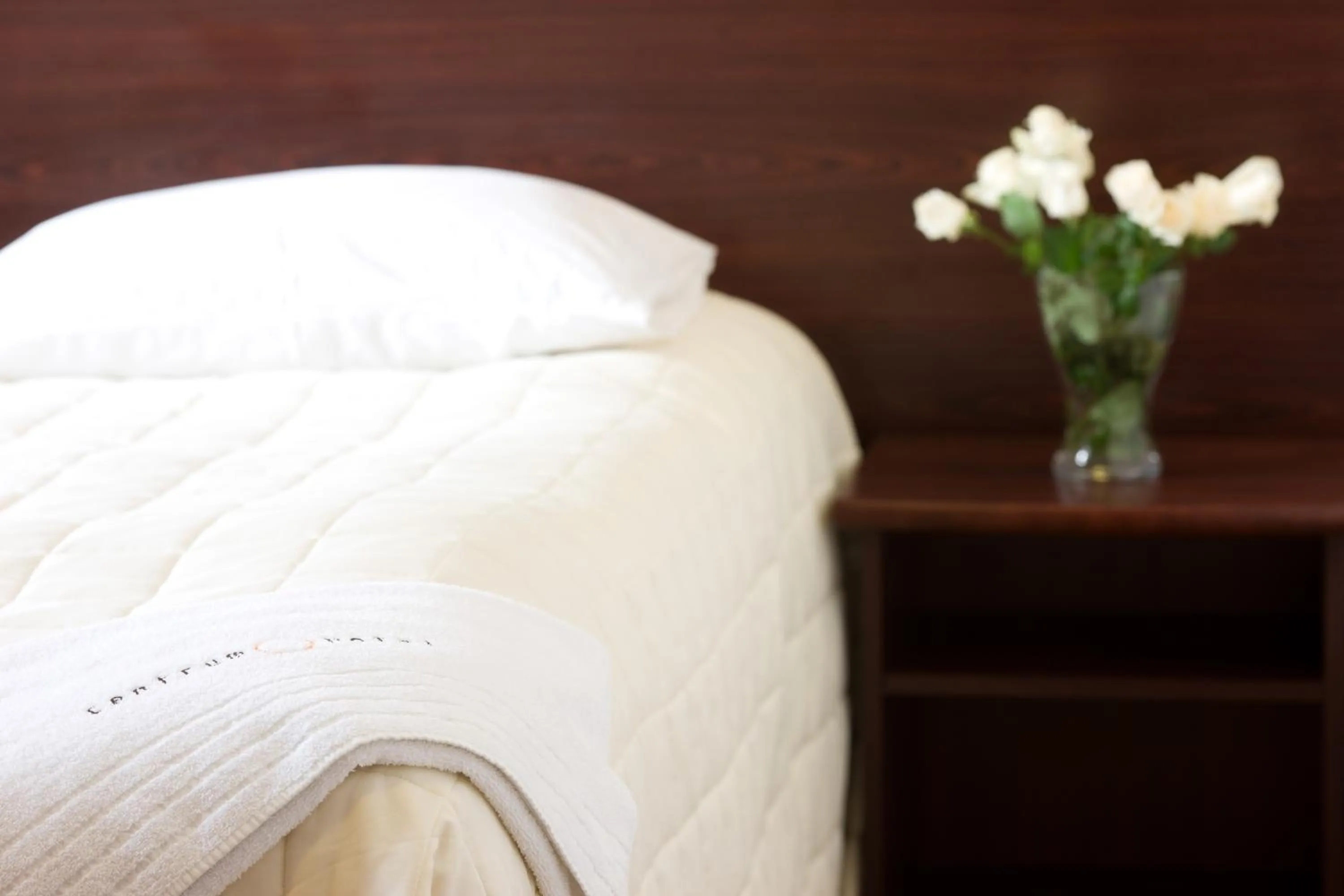 Decorative detail in Hotel Centrum