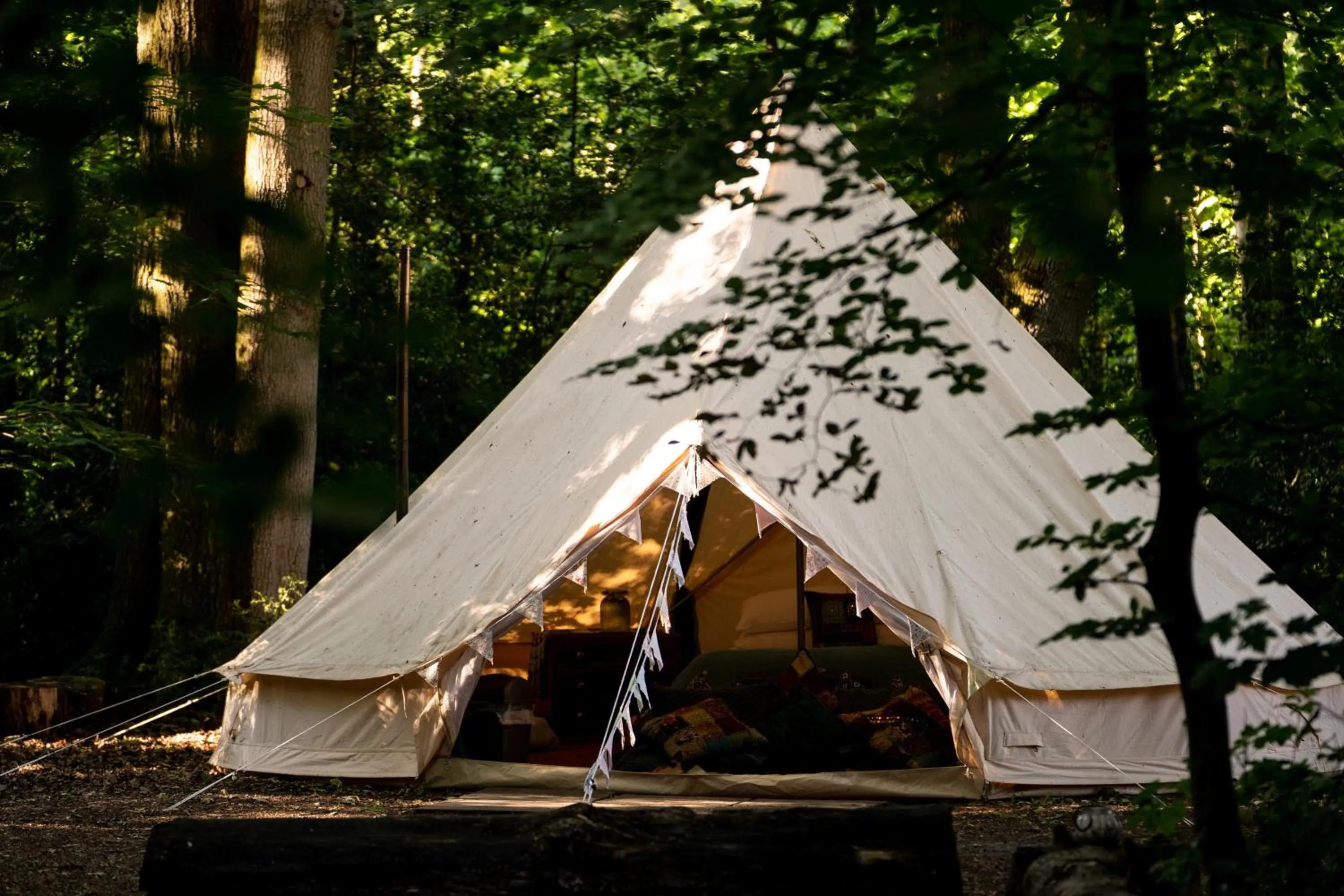 Hollington Park Glamping