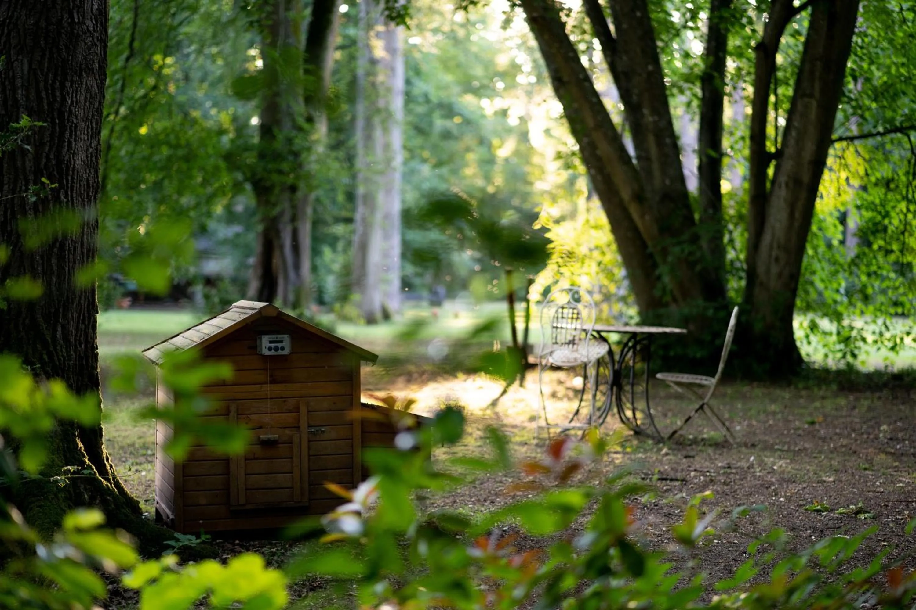 Hollington Park Glamping