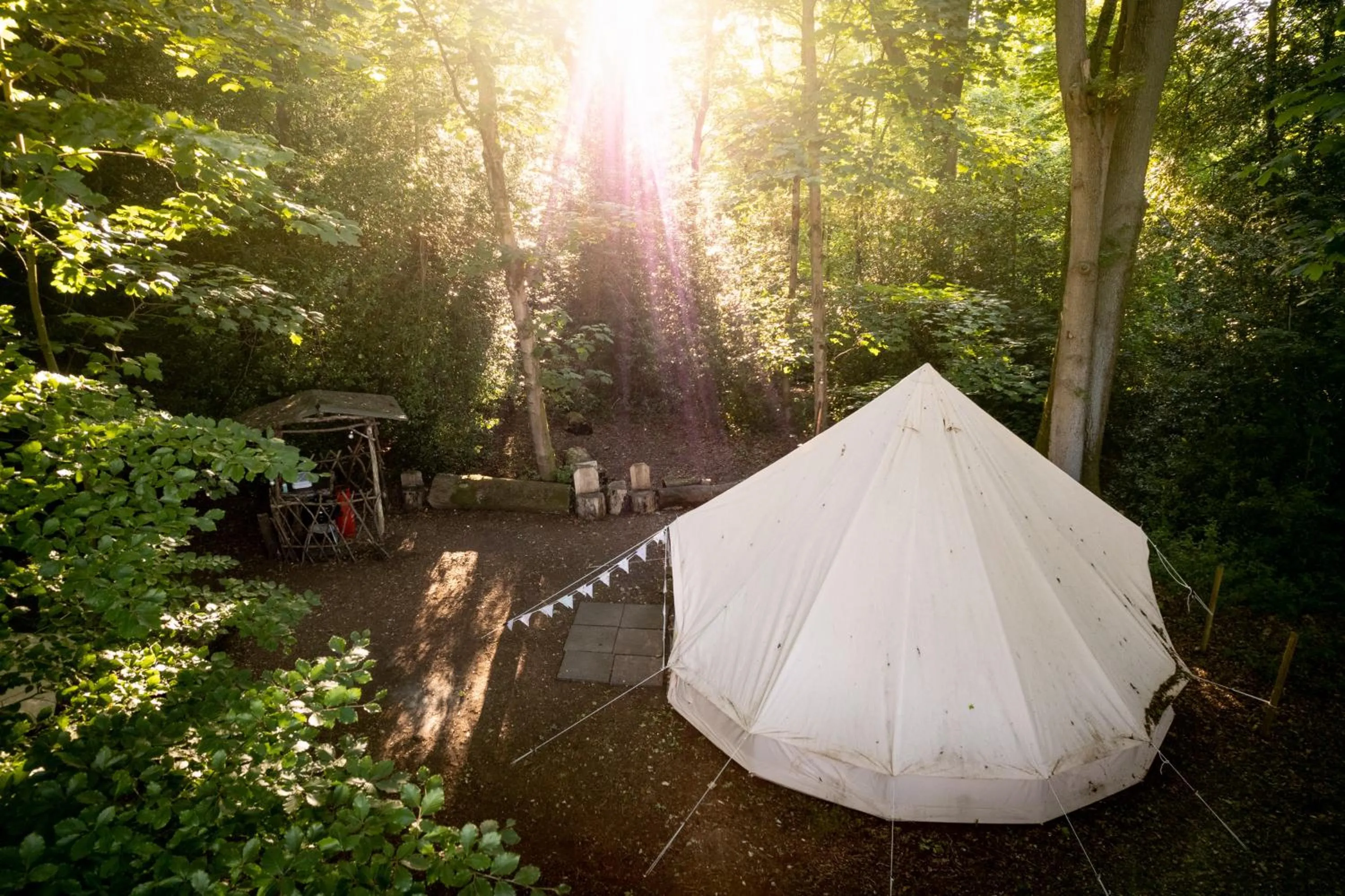 Hollington Park Glamping